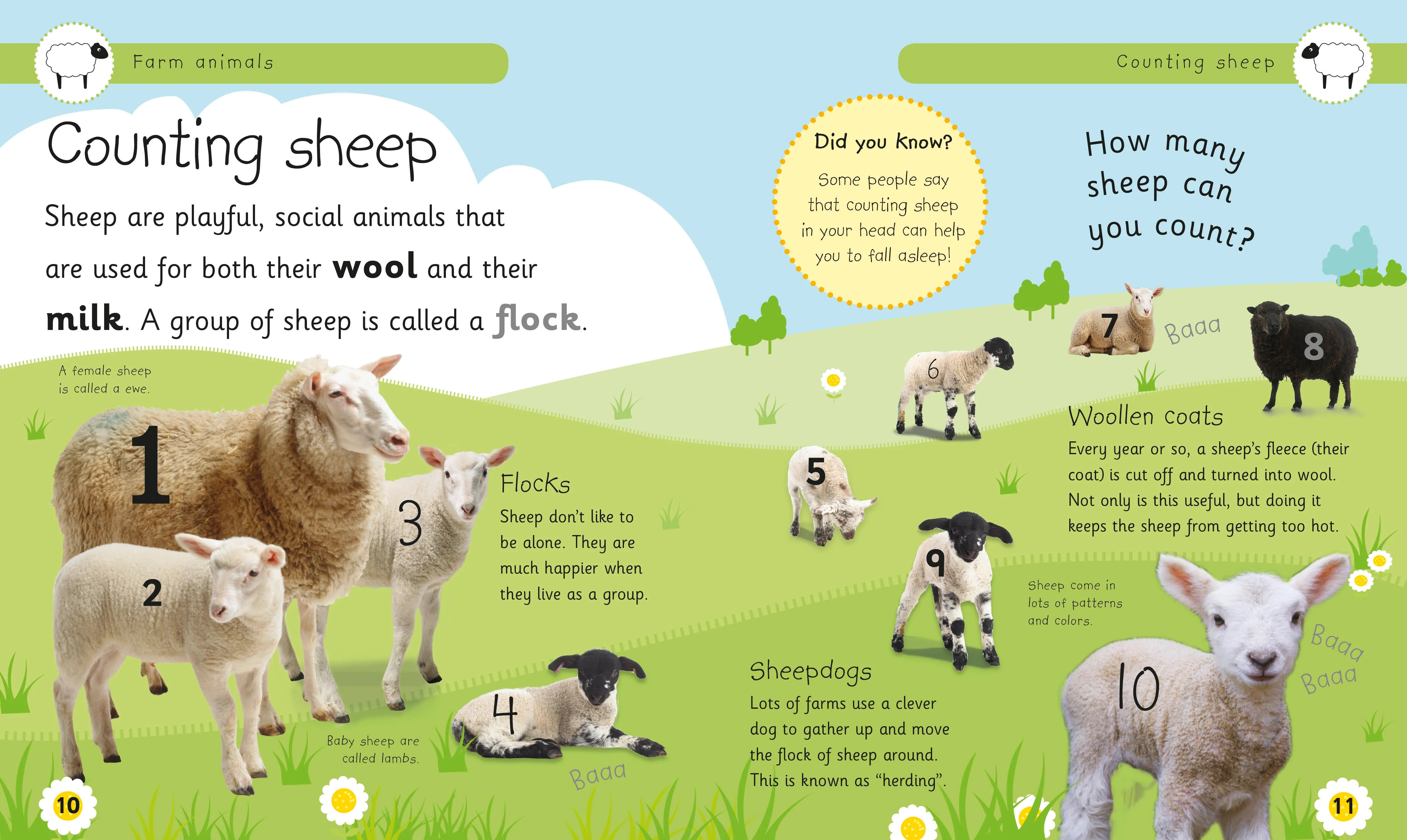 Farm Animals - Image 4