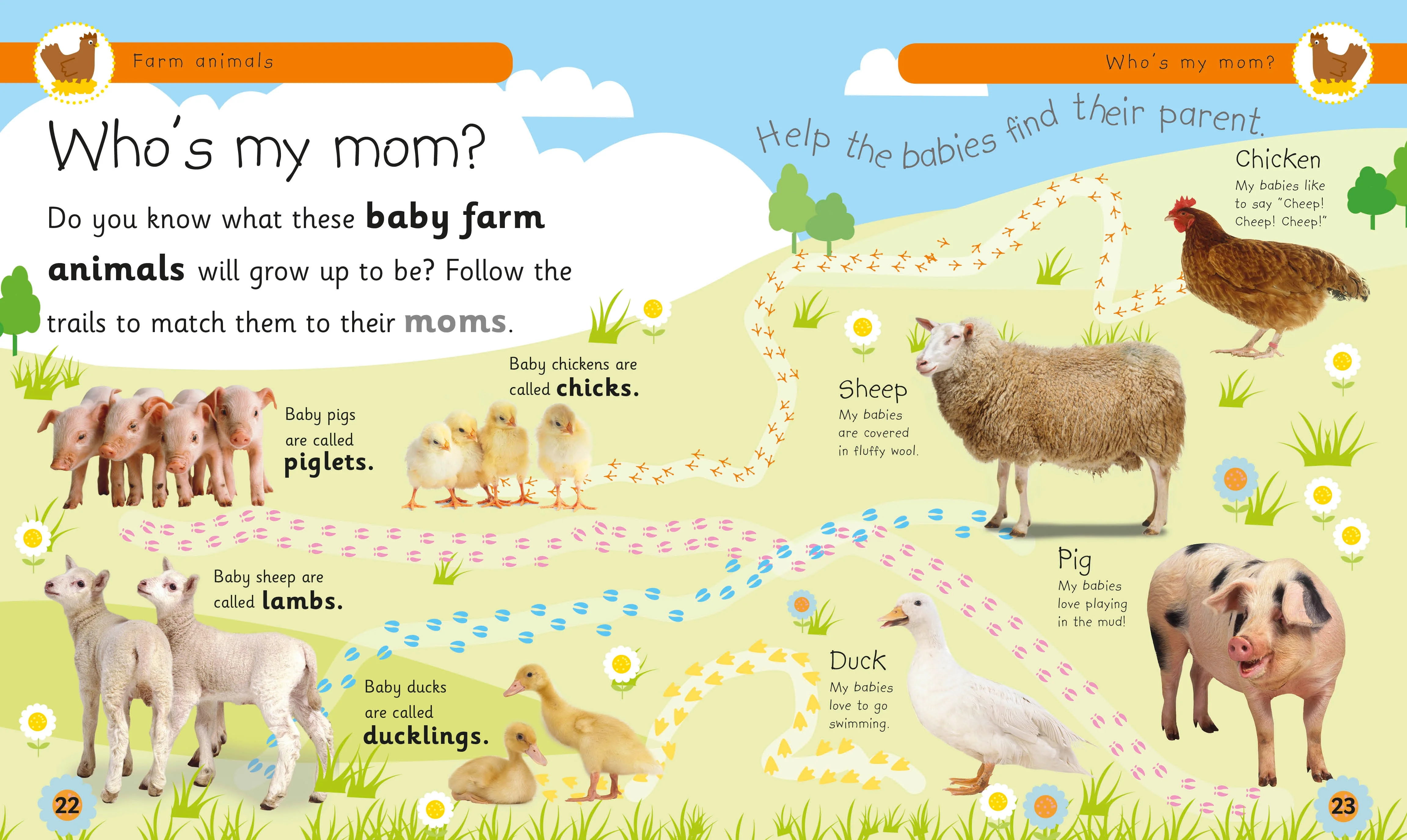 Farm Animals - Image 5