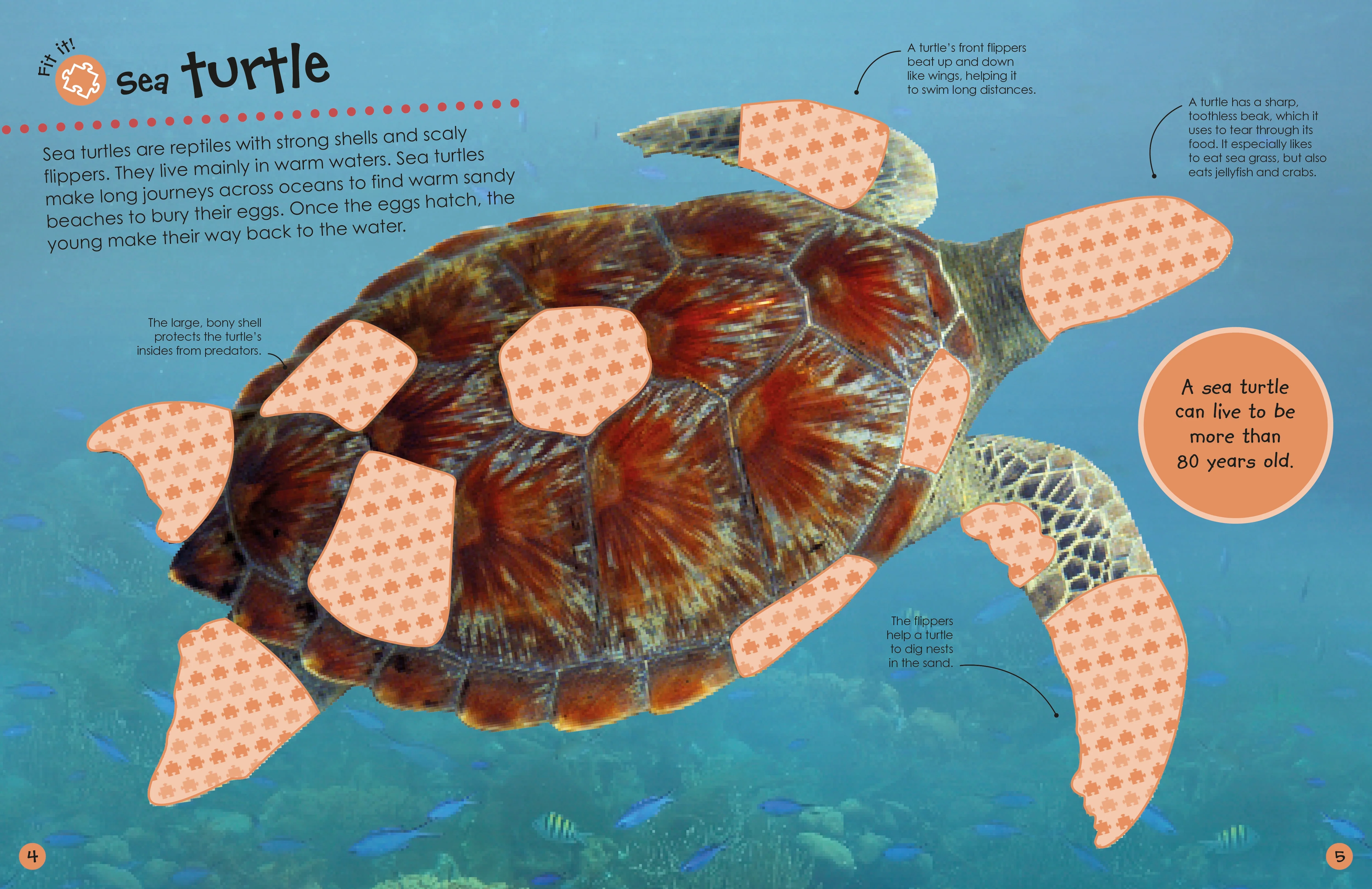Ultimate Sticker Book: Ocean - Image 2