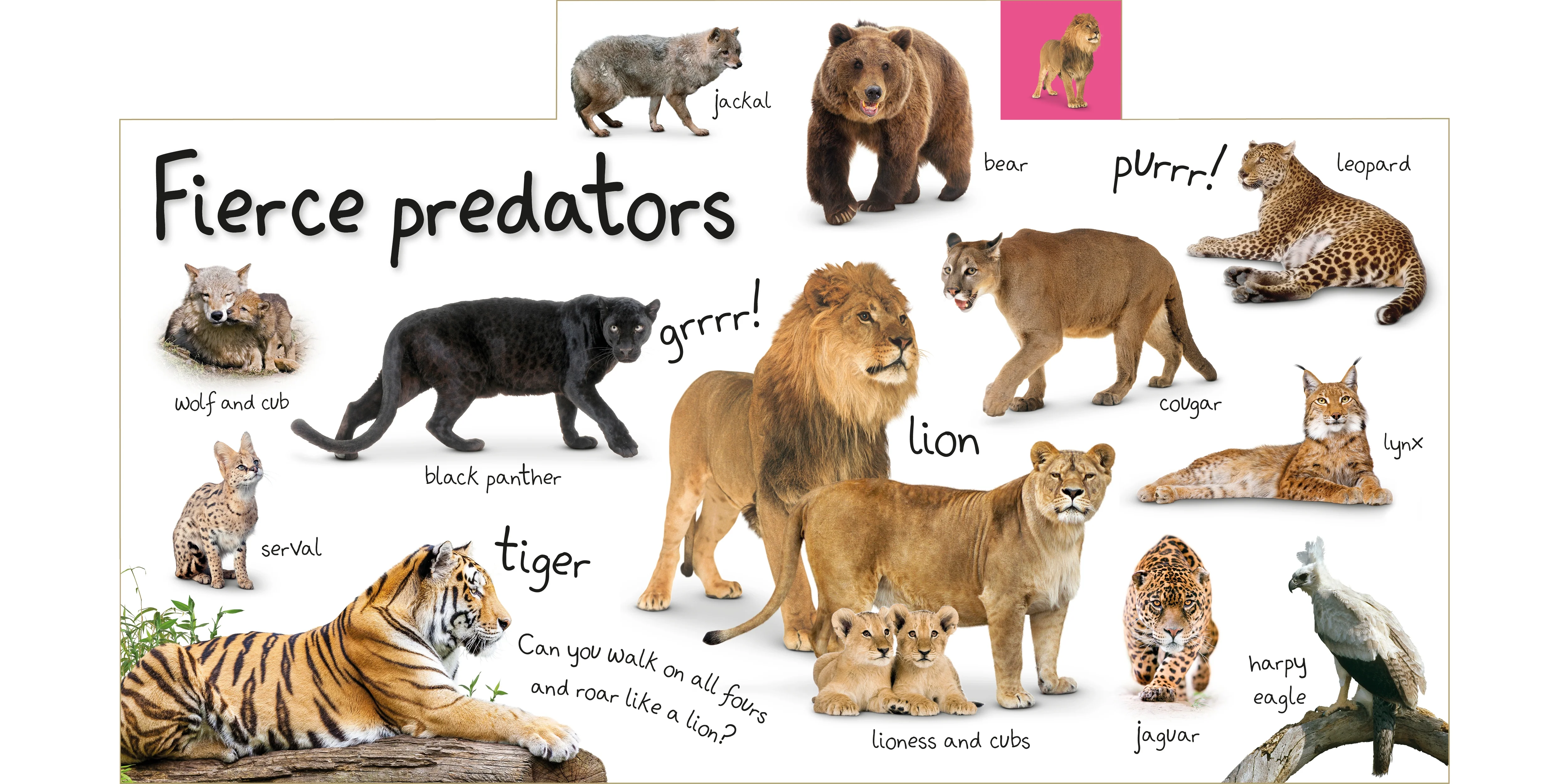 Tabbed Board Books: My First Zoo - Image 2