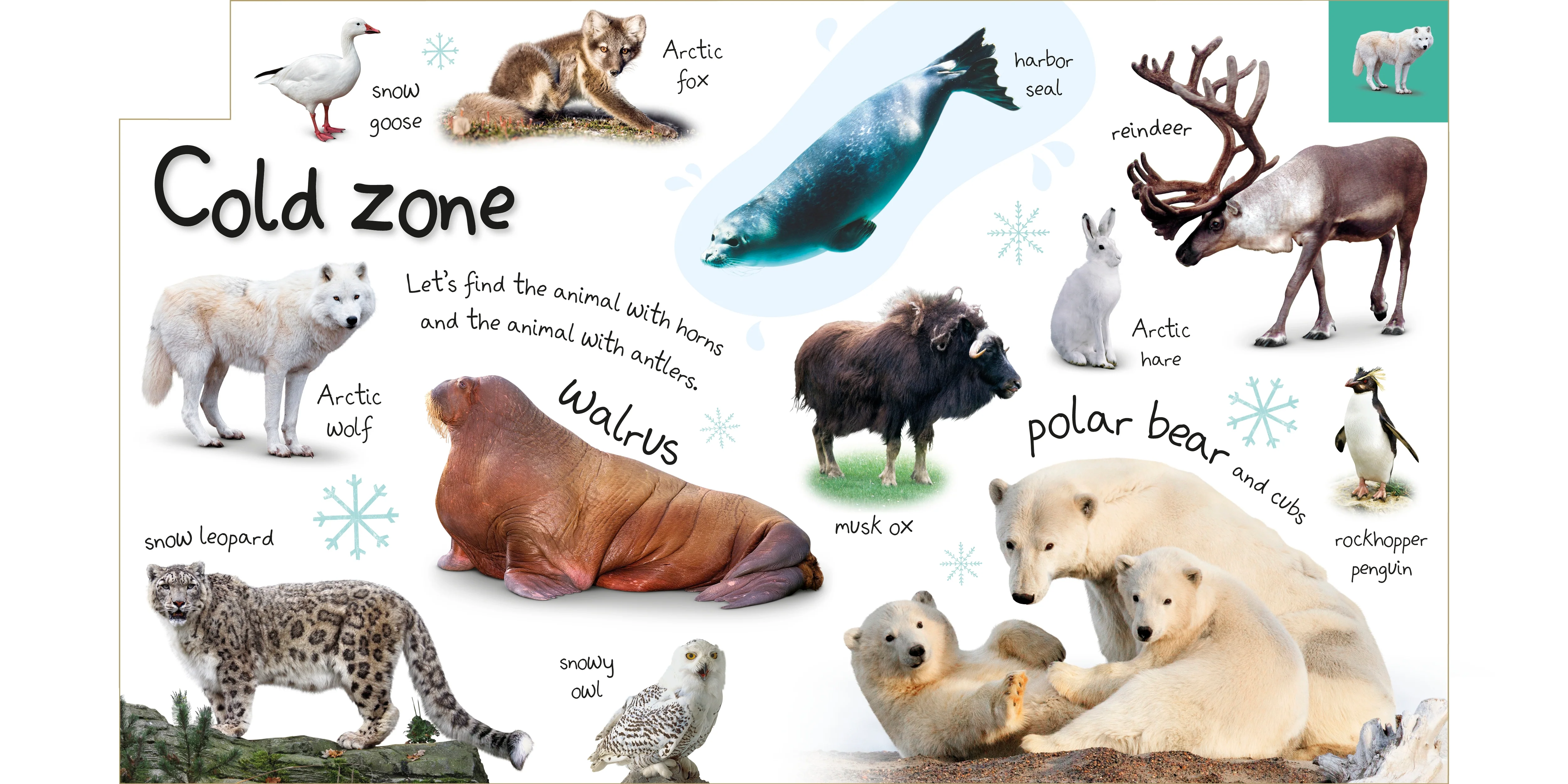 Tabbed Board Books: My First Zoo - Image 3