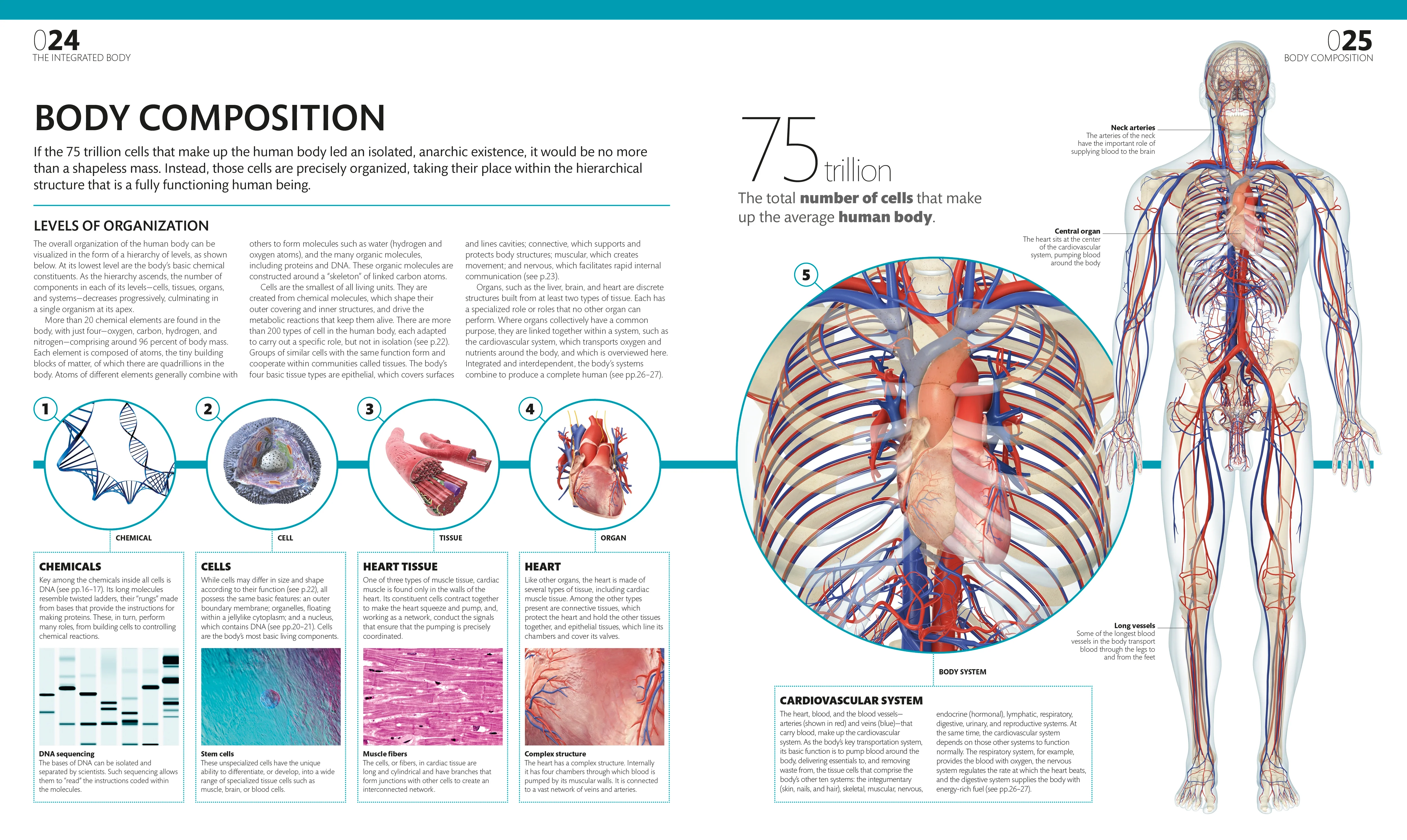 The Complete Human Body - Image 2