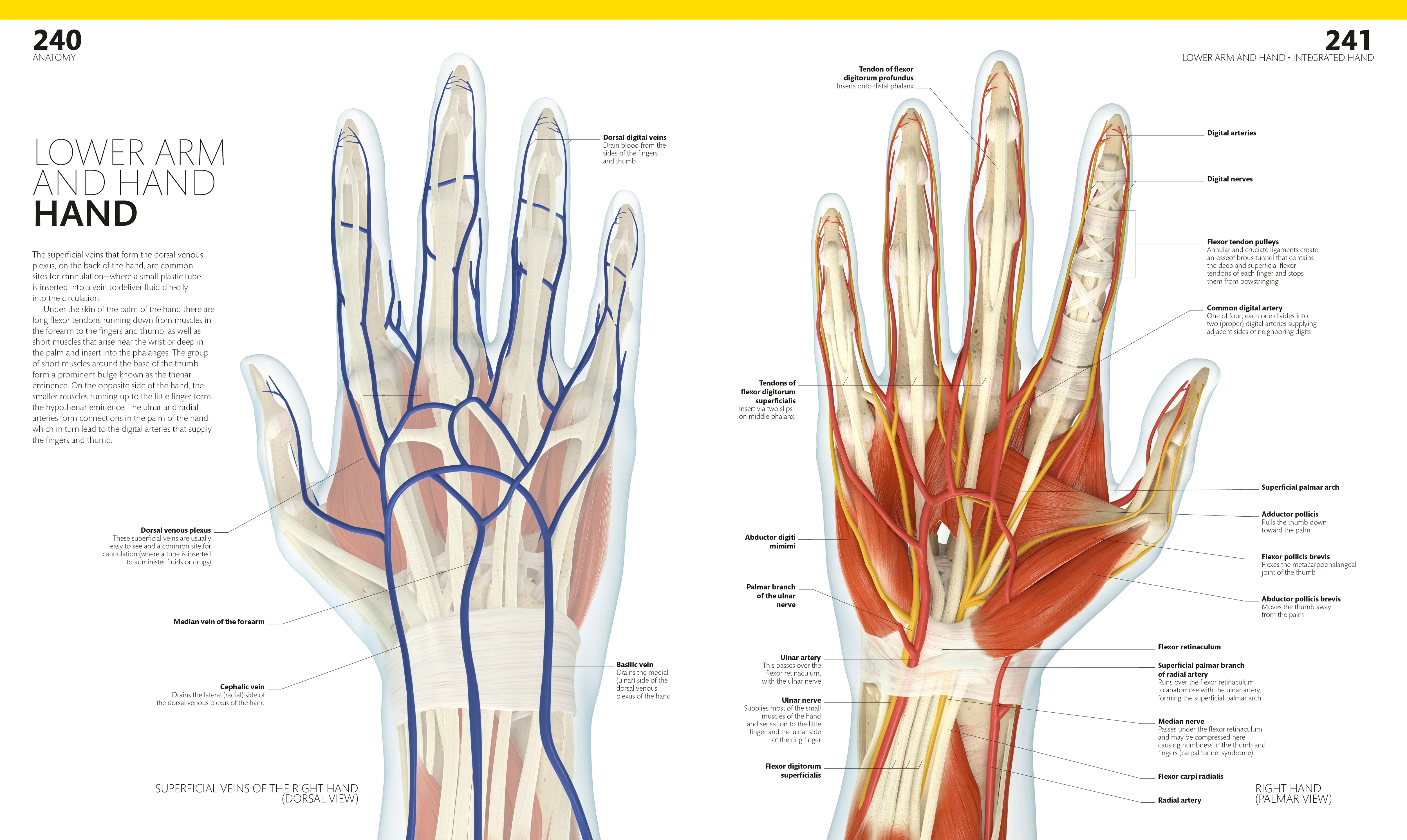 The Complete Human Body - Image 7