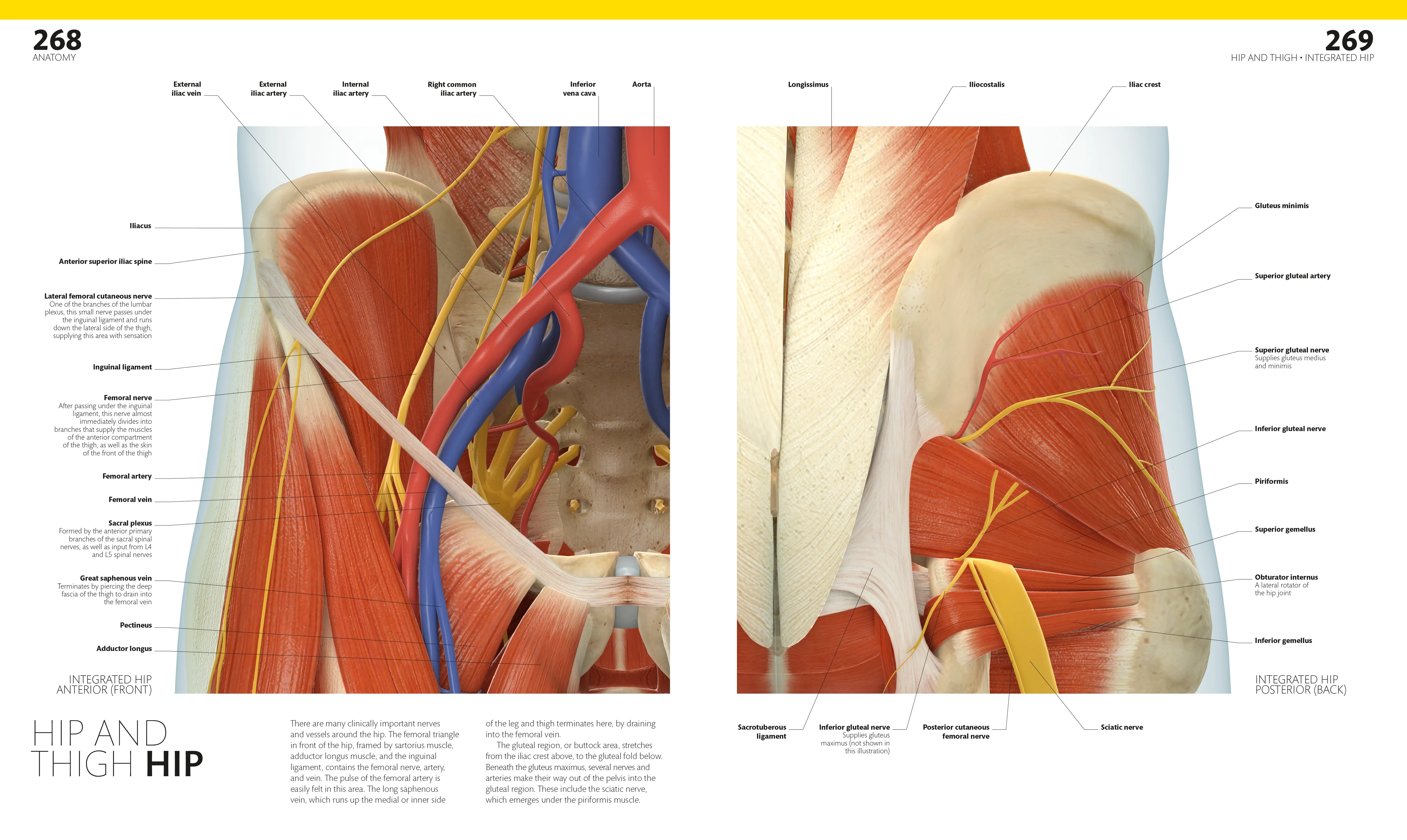 The Complete Human Body - Image 8