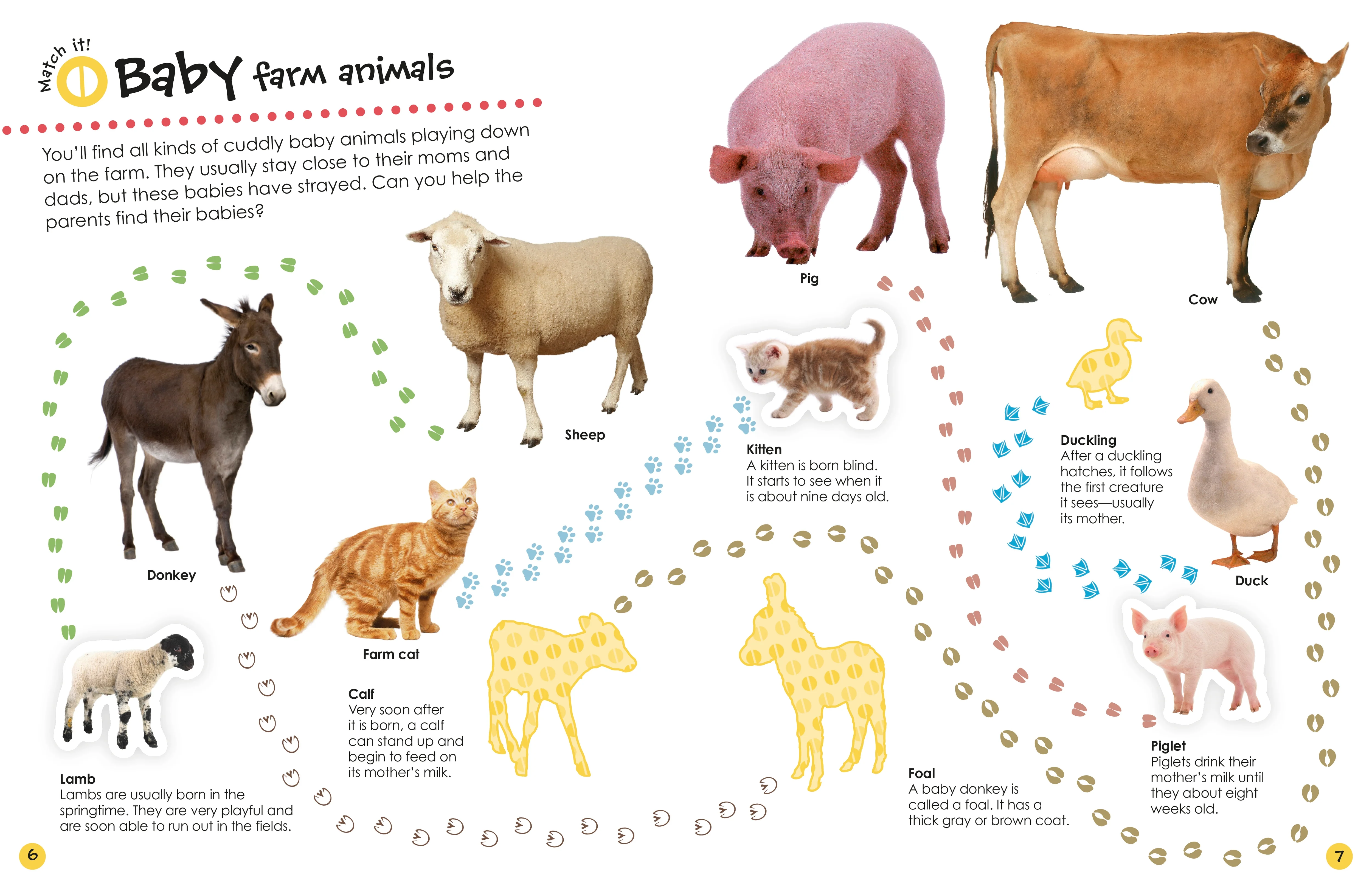 Ultimate Sticker Book: Farm - Image 3