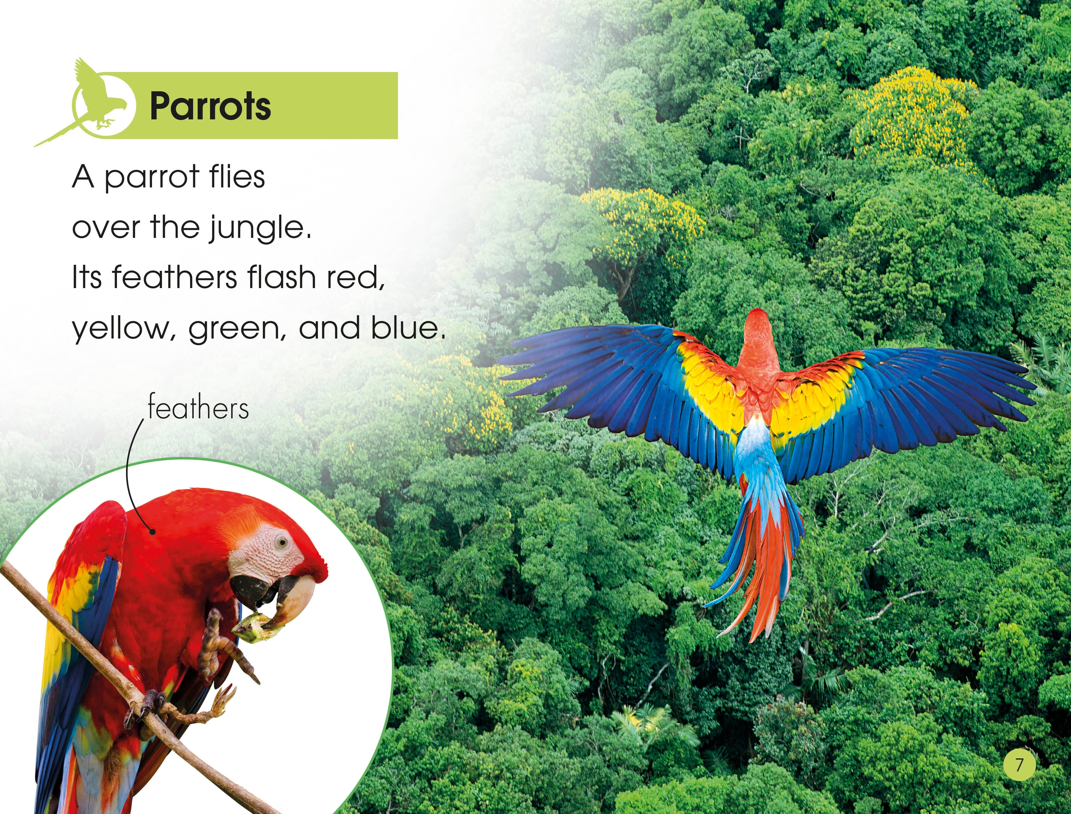 DK Readers L1: Jungle Animals - Image 2
