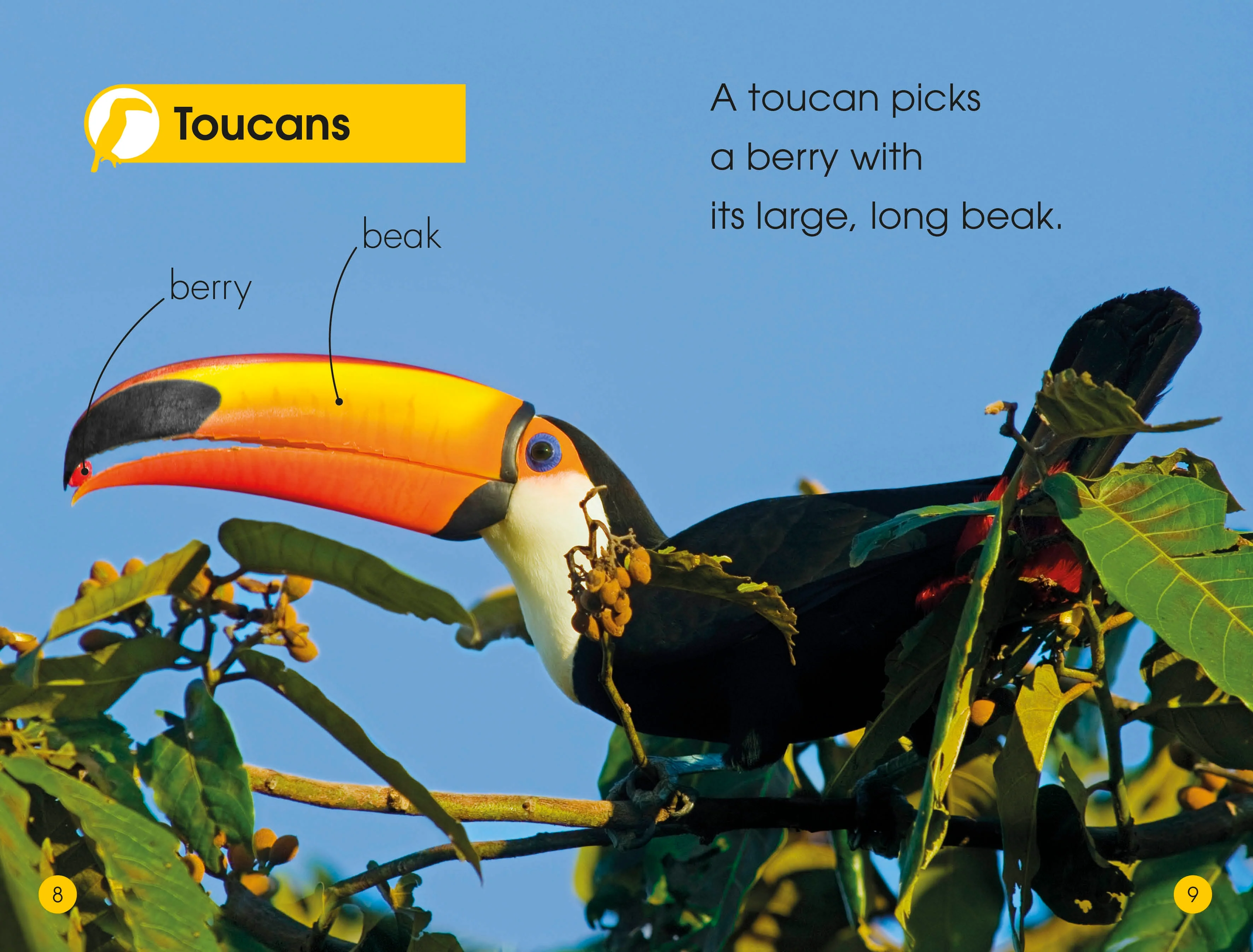DK Readers L1: Jungle Animals - Image 3