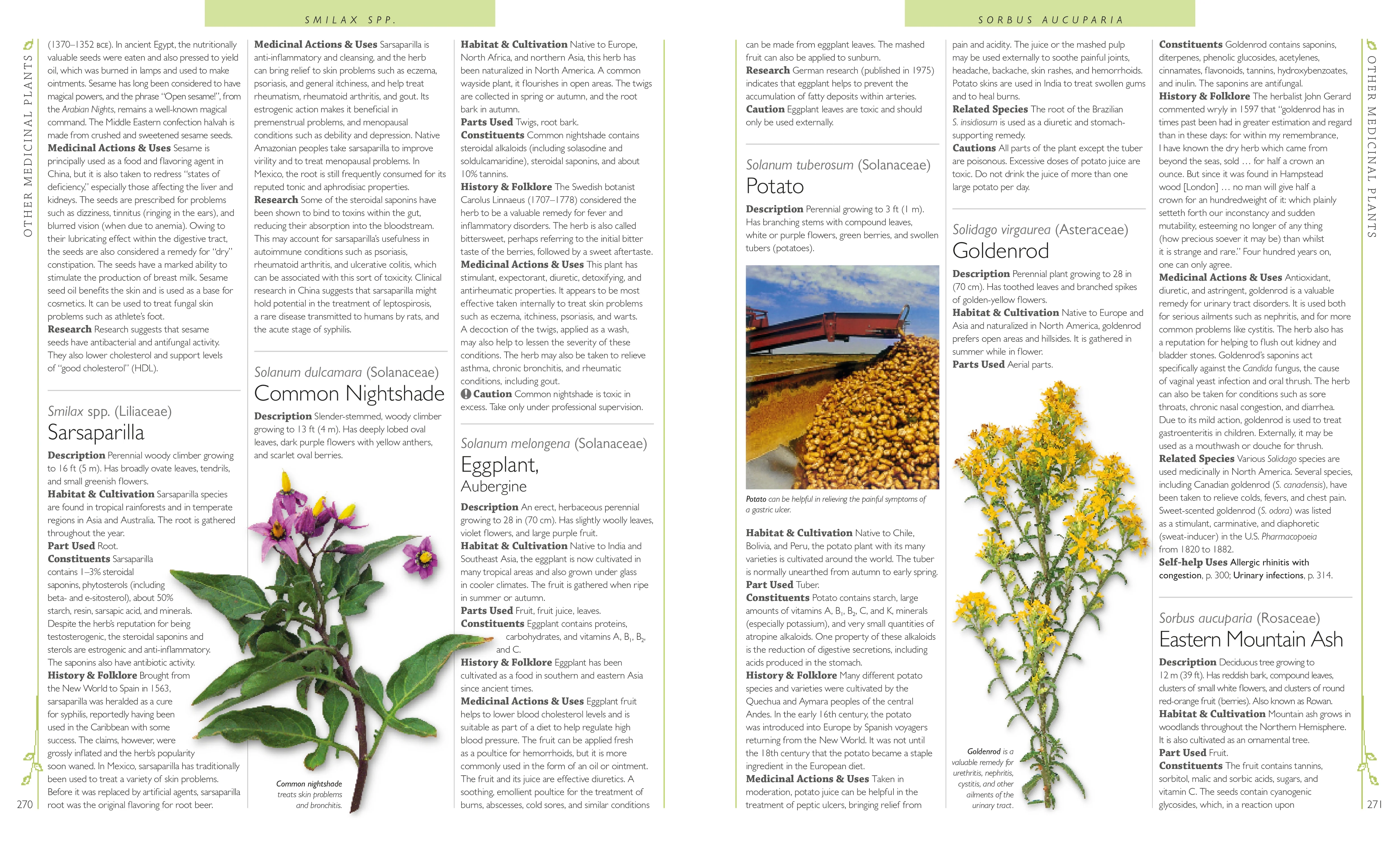 Encyclopedia of Herbal Medicine - Image 4