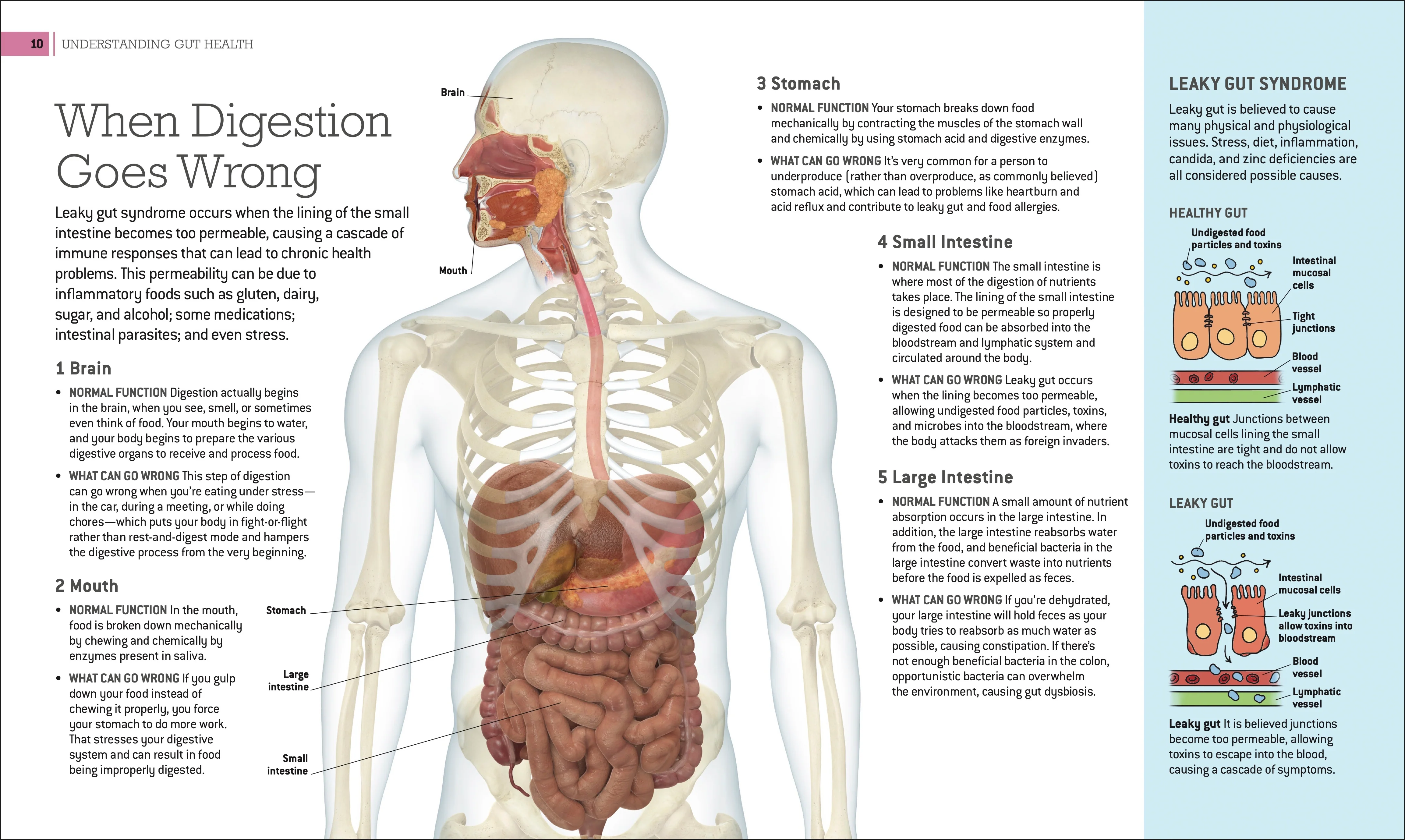 Healthy Gut Cookbook - Image 2