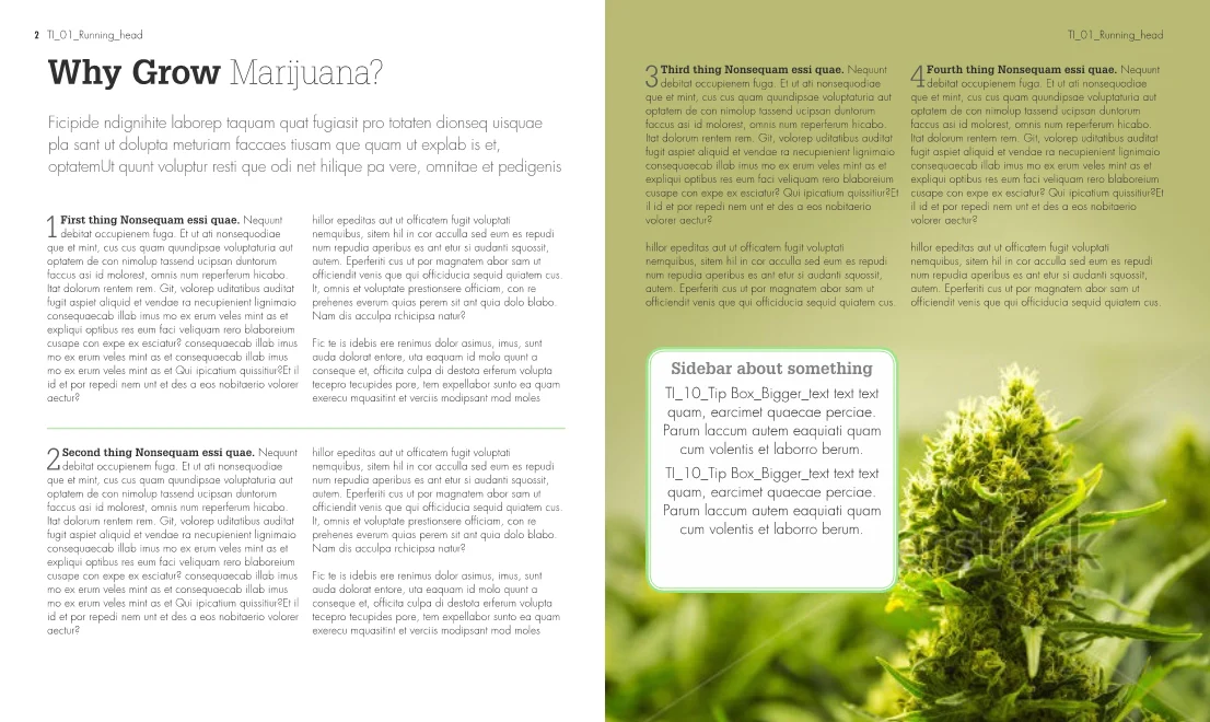 Growing Marijuana - Image 3