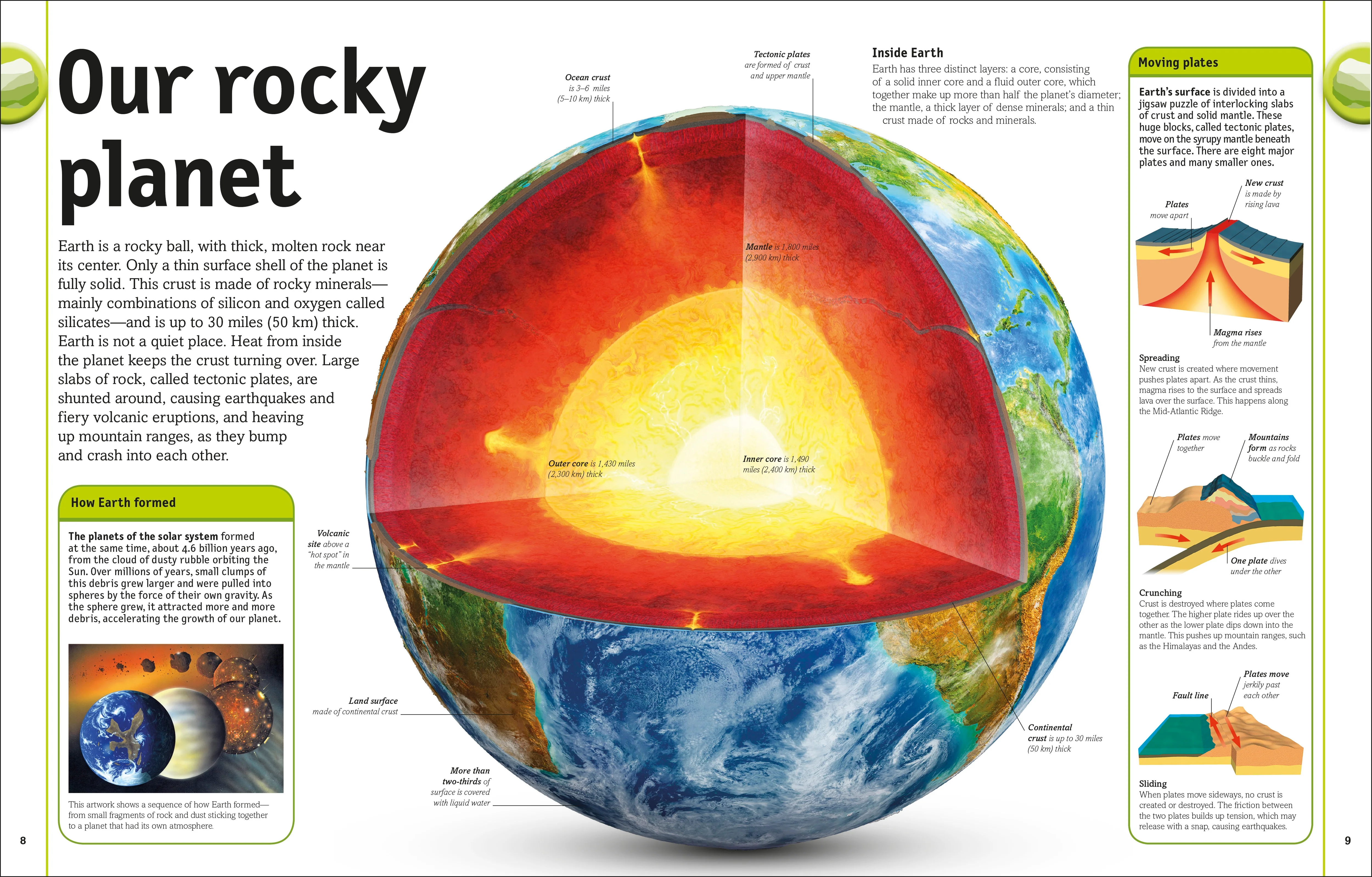The Rock and Gem Book - Image 2
