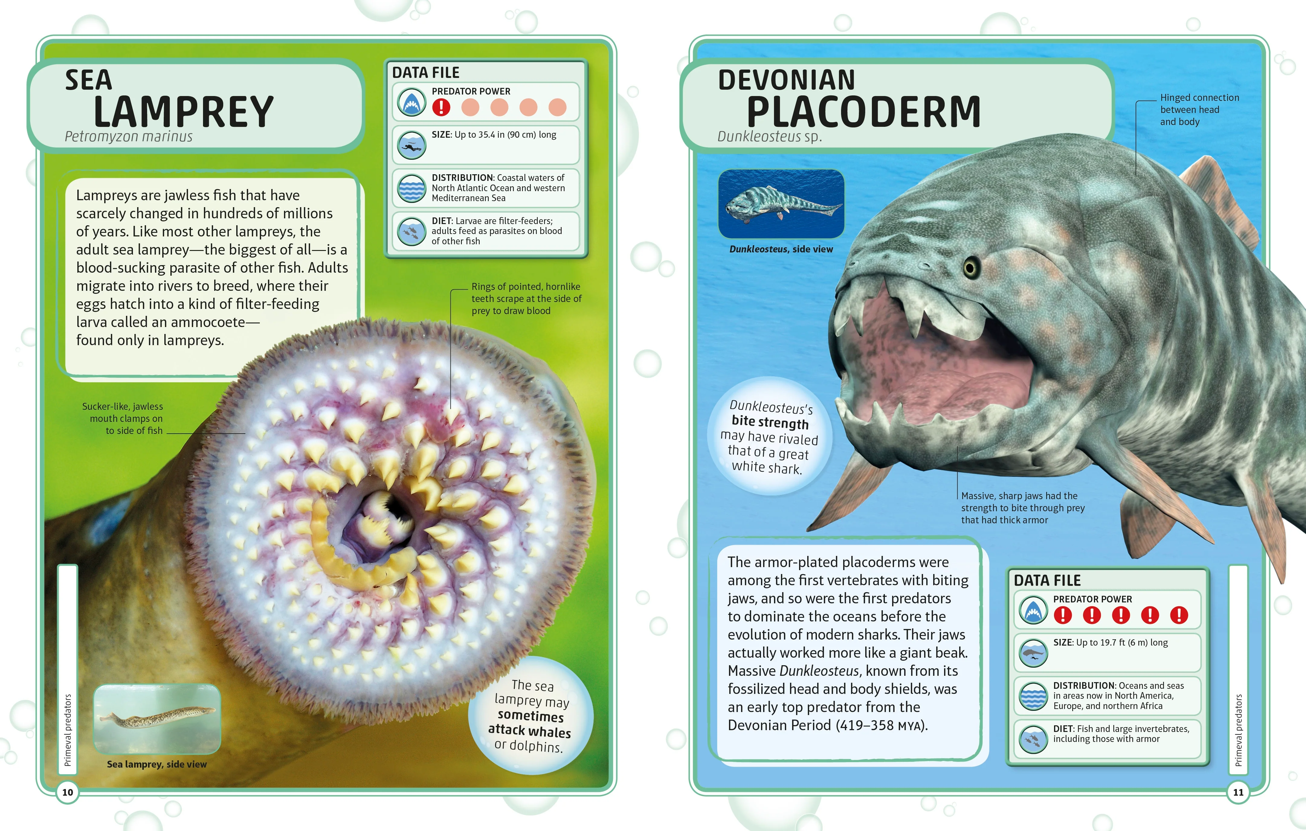 Sharks and Other Deadly Ocean Creatures Visual Encyclopedia - Image 2