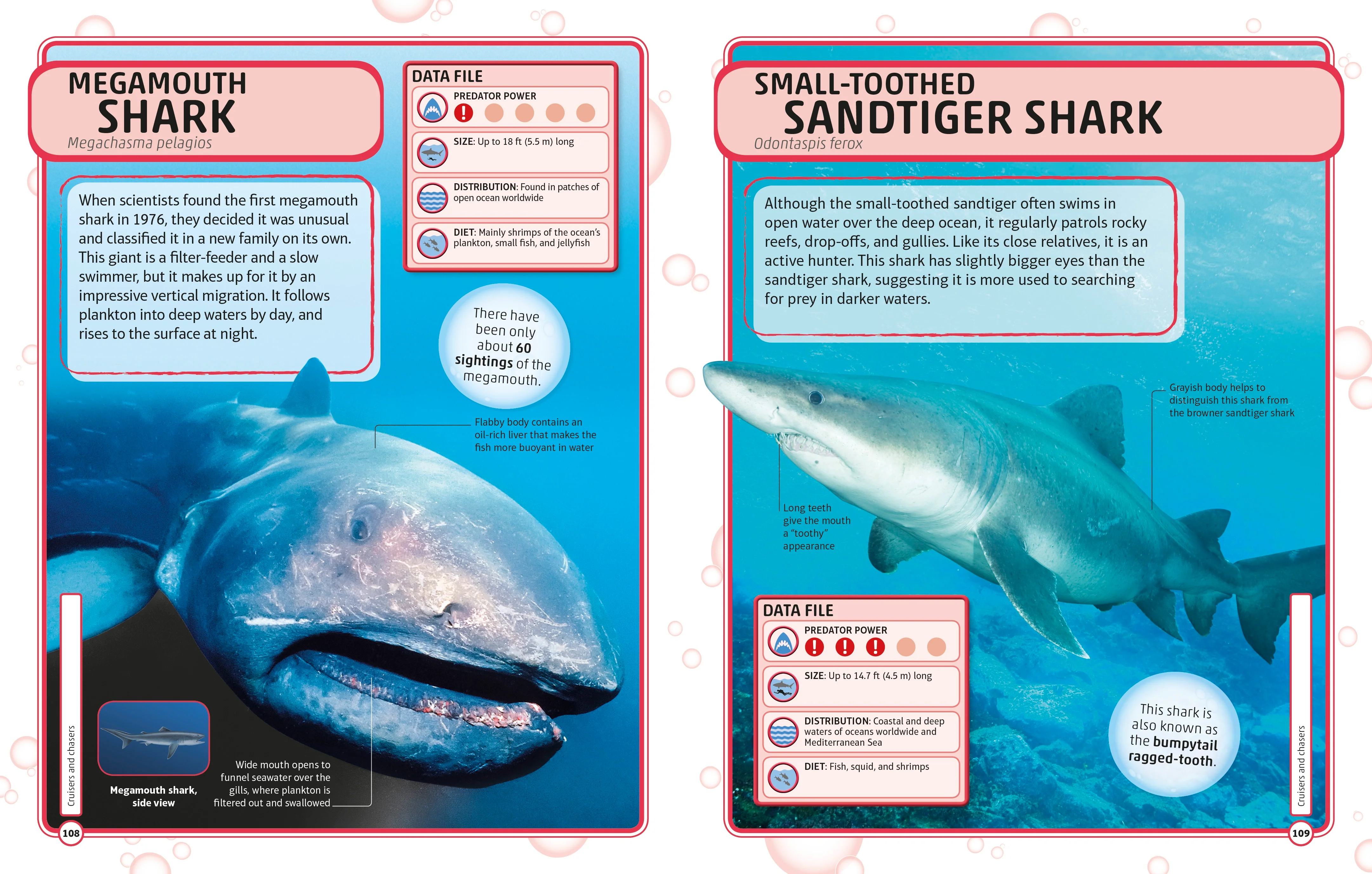 Sharks and Other Deadly Ocean Creatures Visual Encyclopedia - Image 5