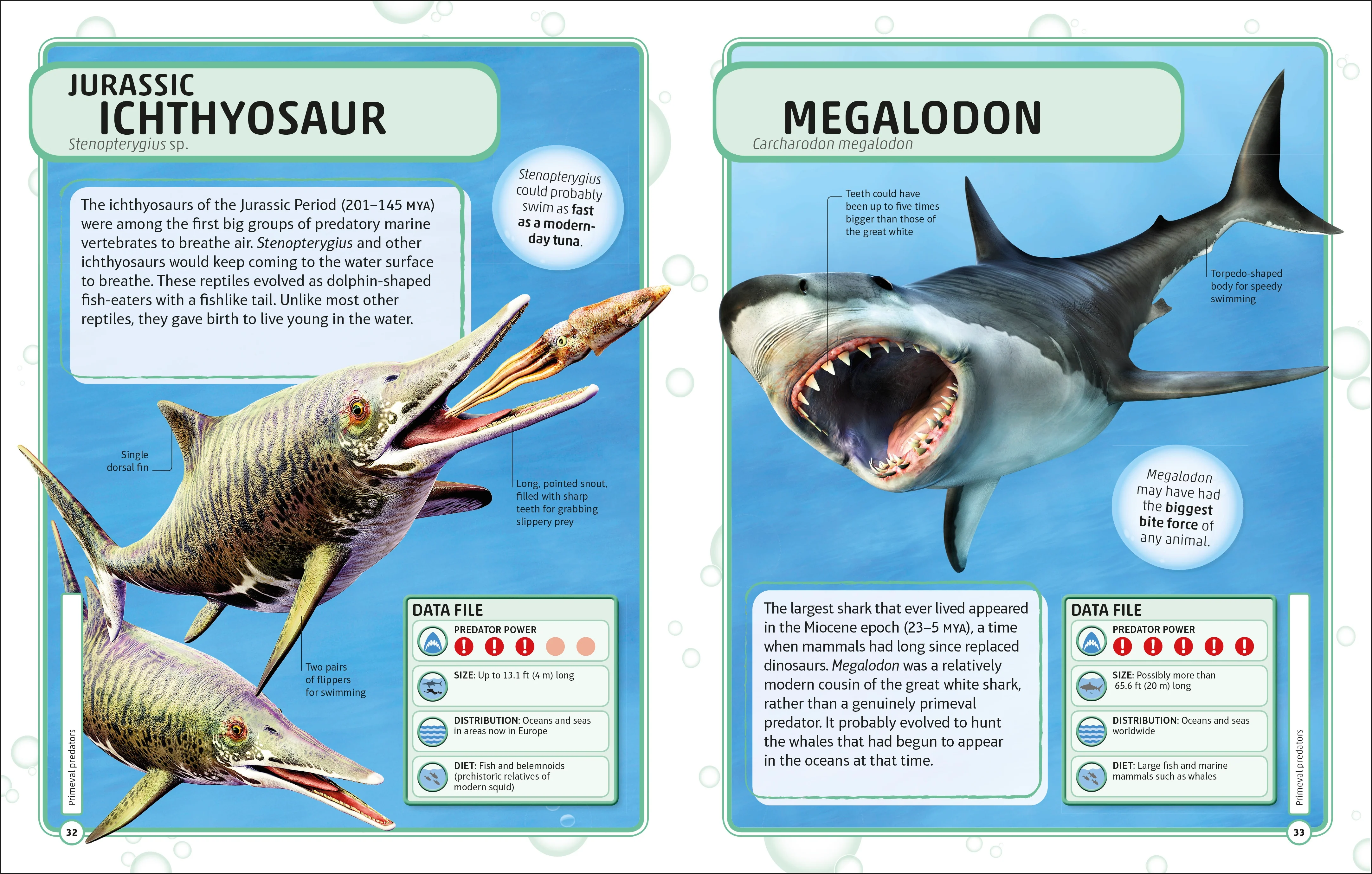 Sharks and Other Deadly Ocean Creatures Visual Encyclopedia - Image 7