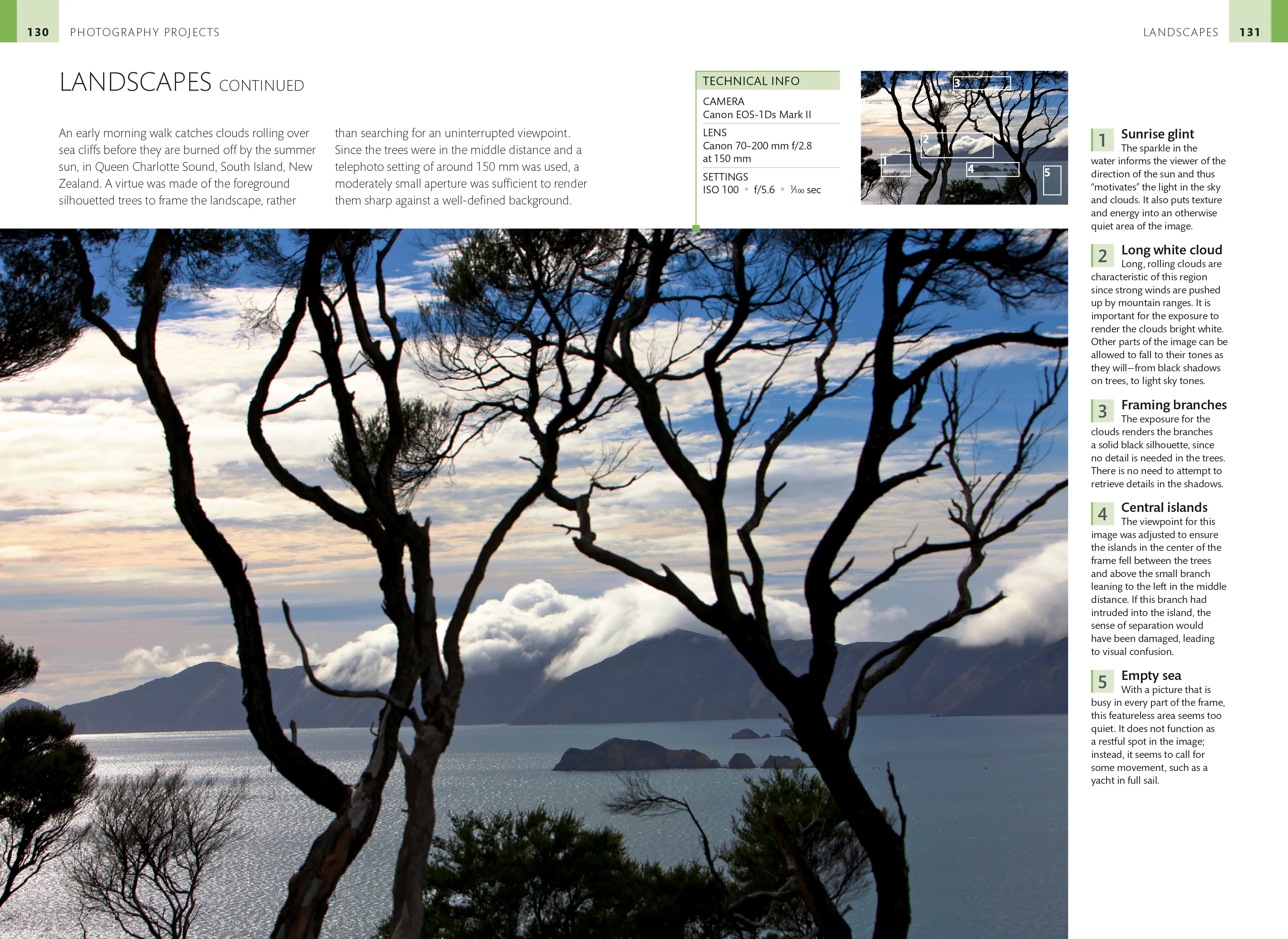 Digital Photographer's Handbook - Image 6
