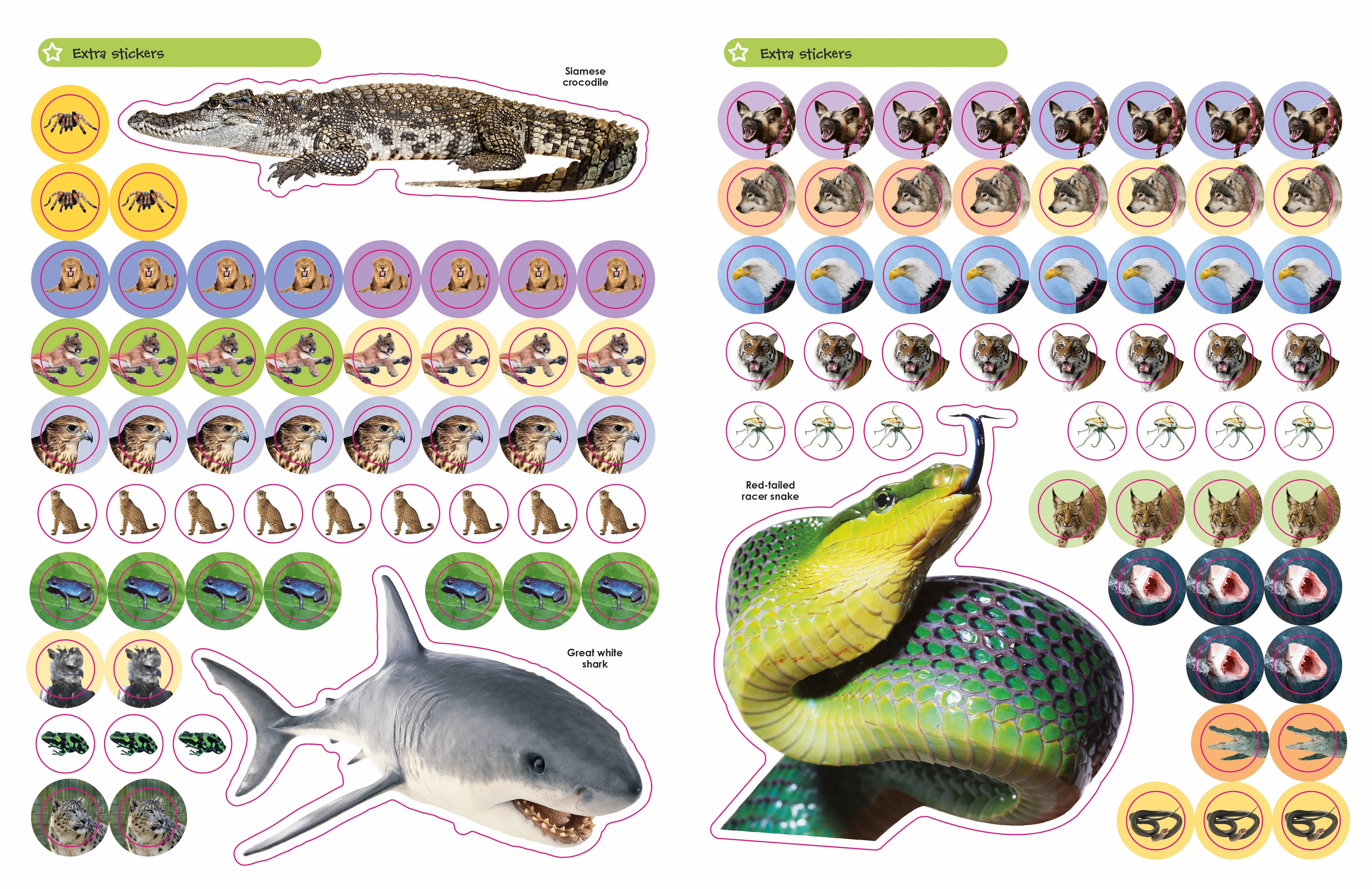 Ultimate Sticker Book: Deadly Animals - Image 5