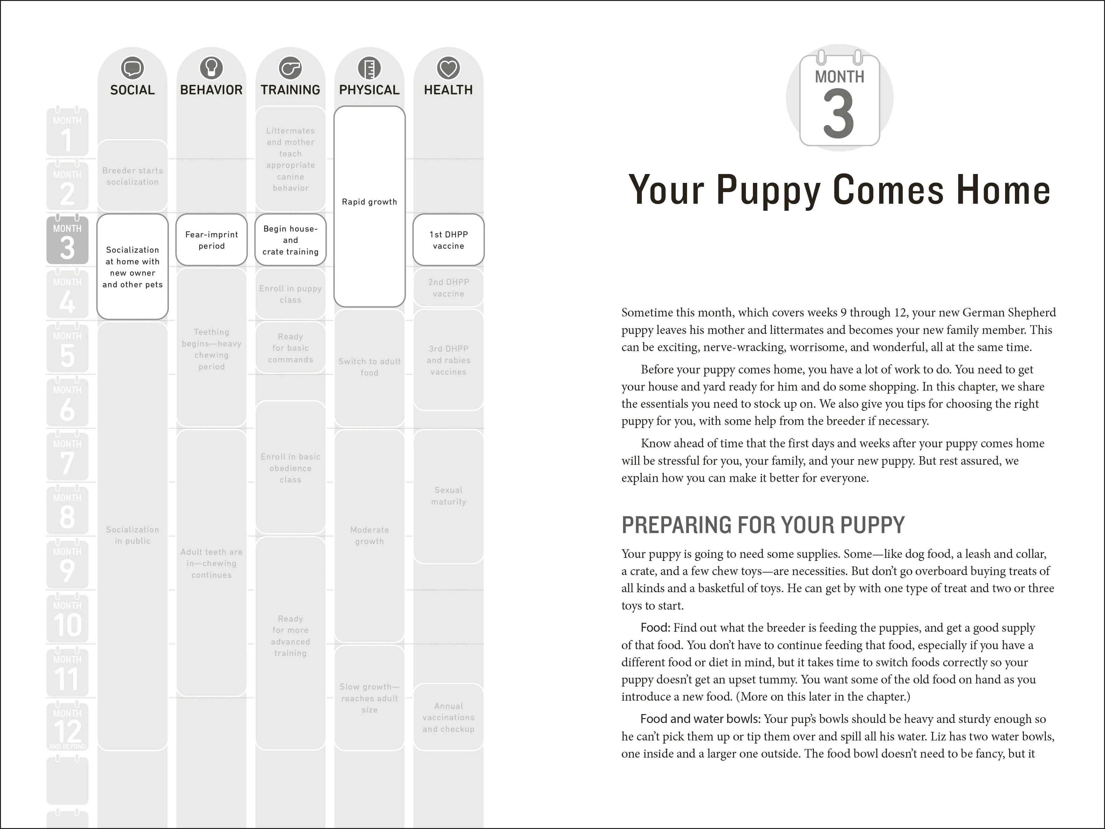 Your German Shepherd Puppy Month by Month, 2nd Edition - Image 2