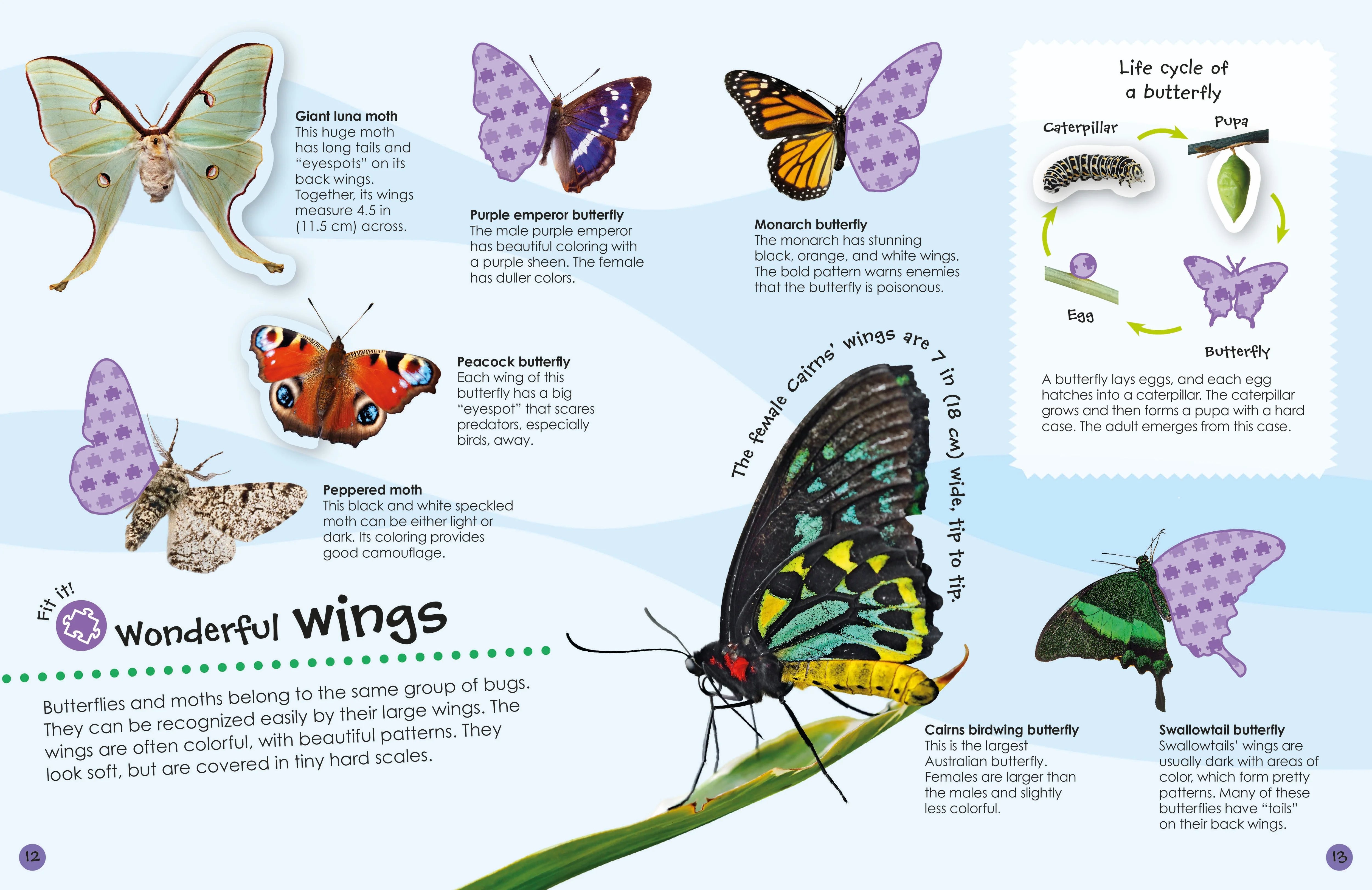 Ultimate Sticker Book: Bugs - Image 3