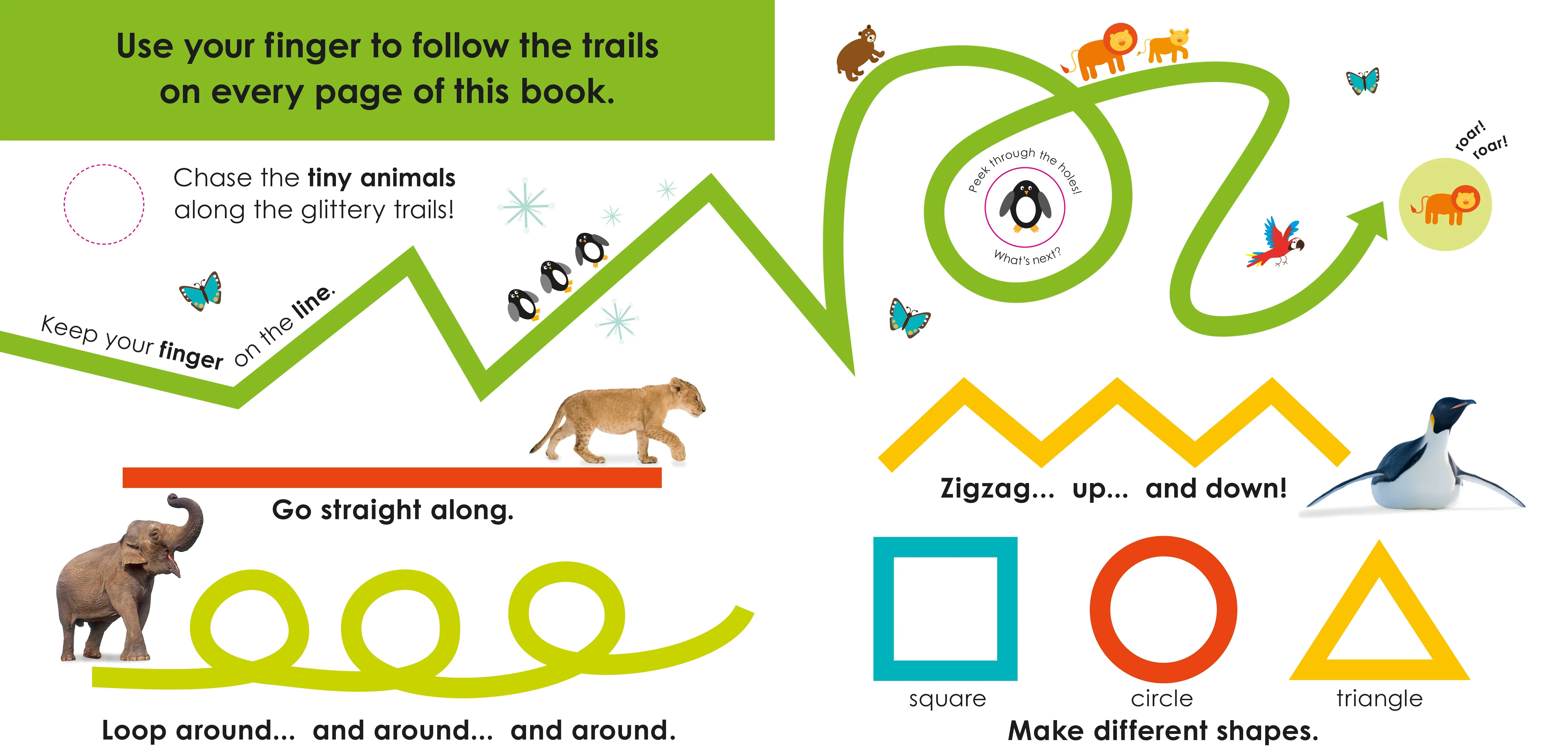 Follow the Trail: Wild Animals - Image 2
