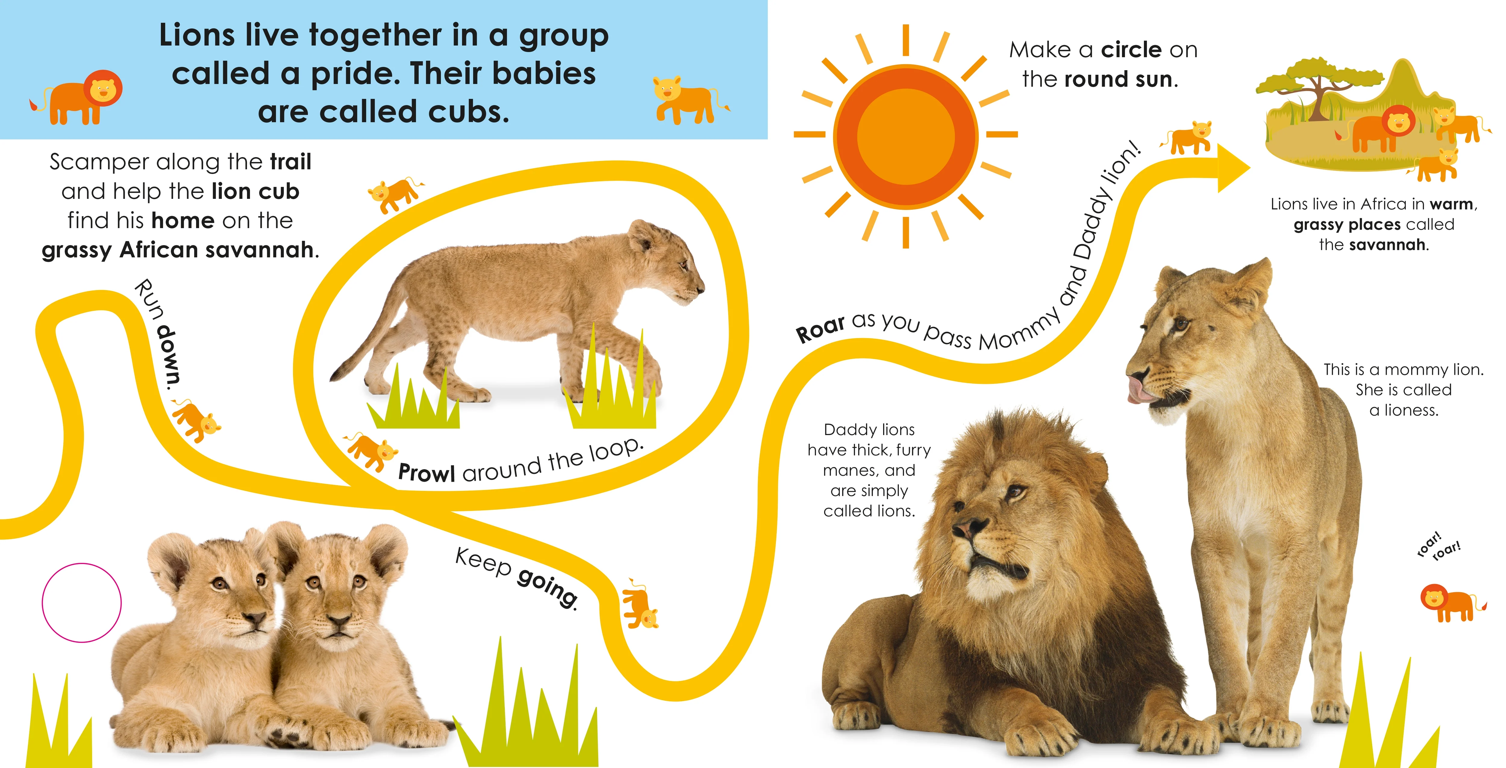 Follow the Trail: Wild Animals - Image 3