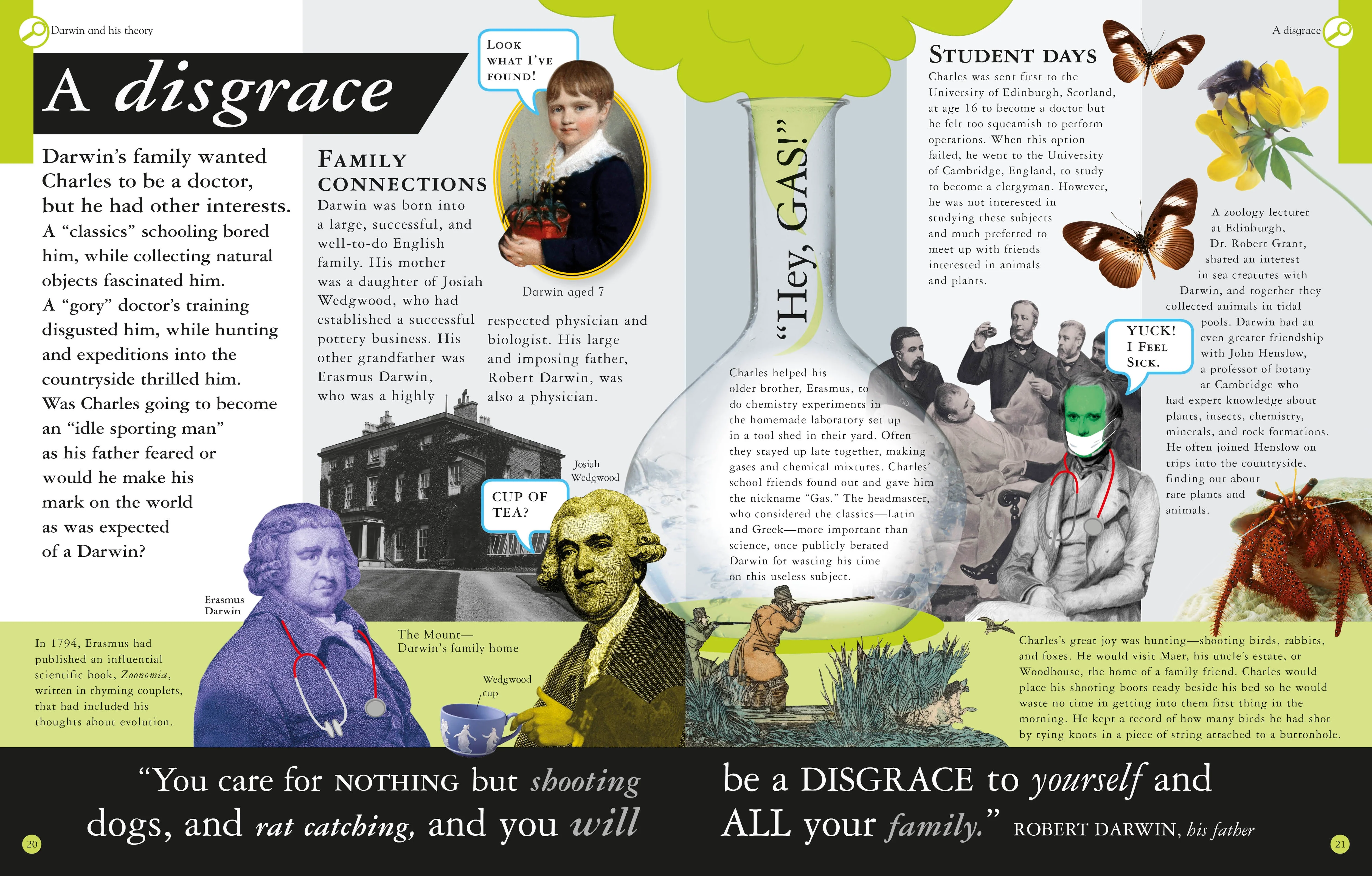 Evolution Revolution - Image 2