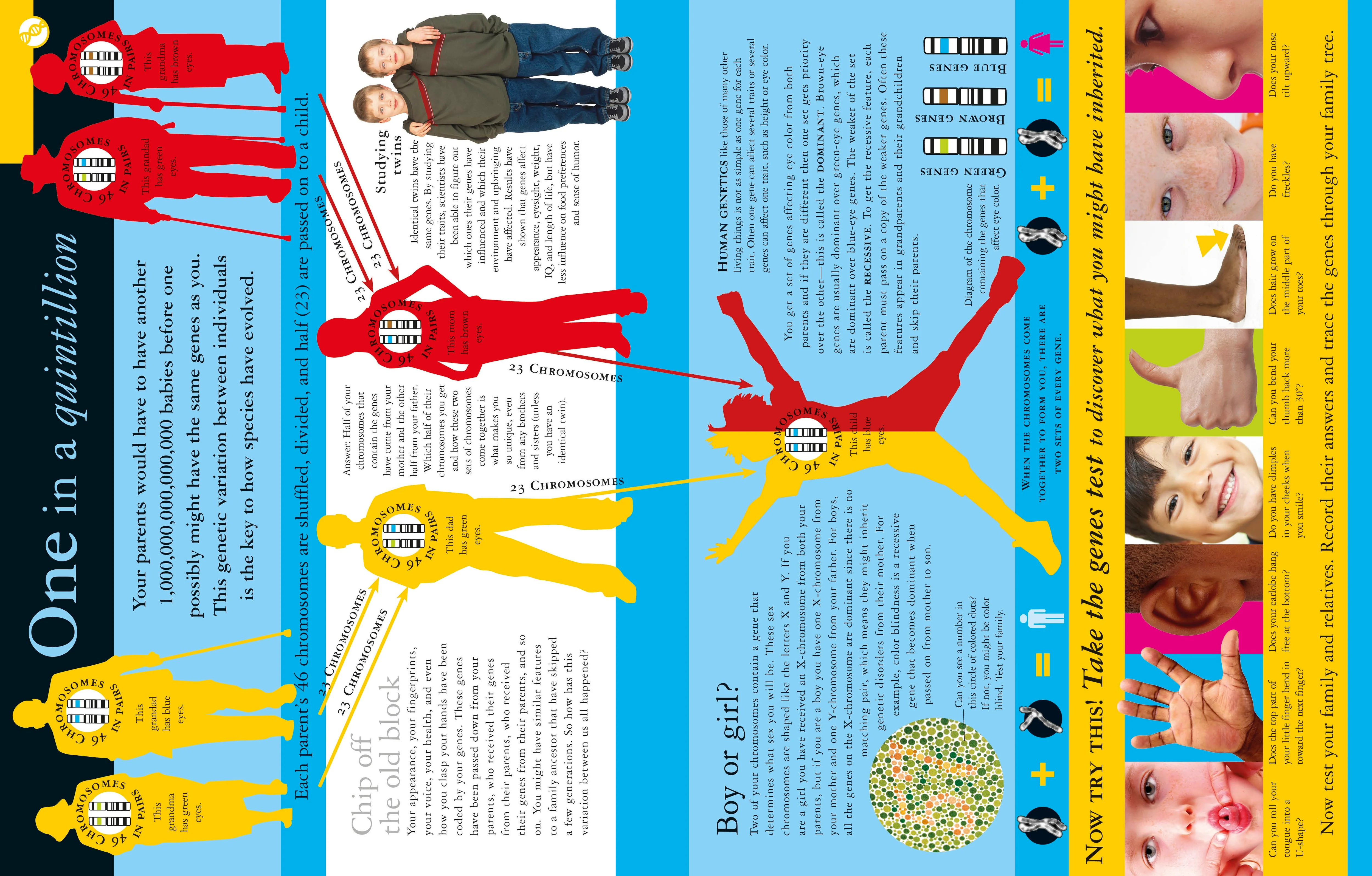 Evolution Revolution - Image 4