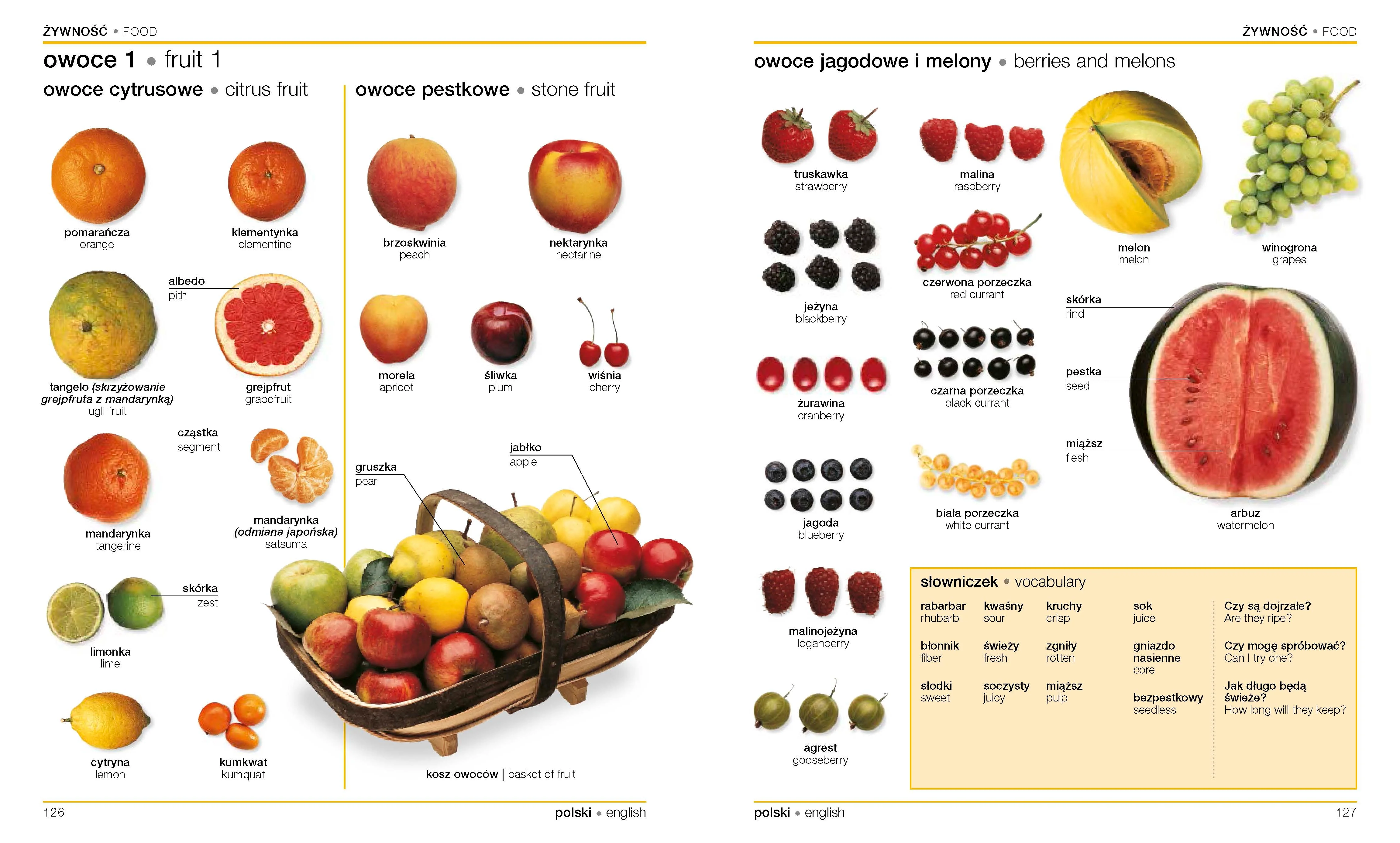Polish-English Bilingual Visual Dictionary - Image 5