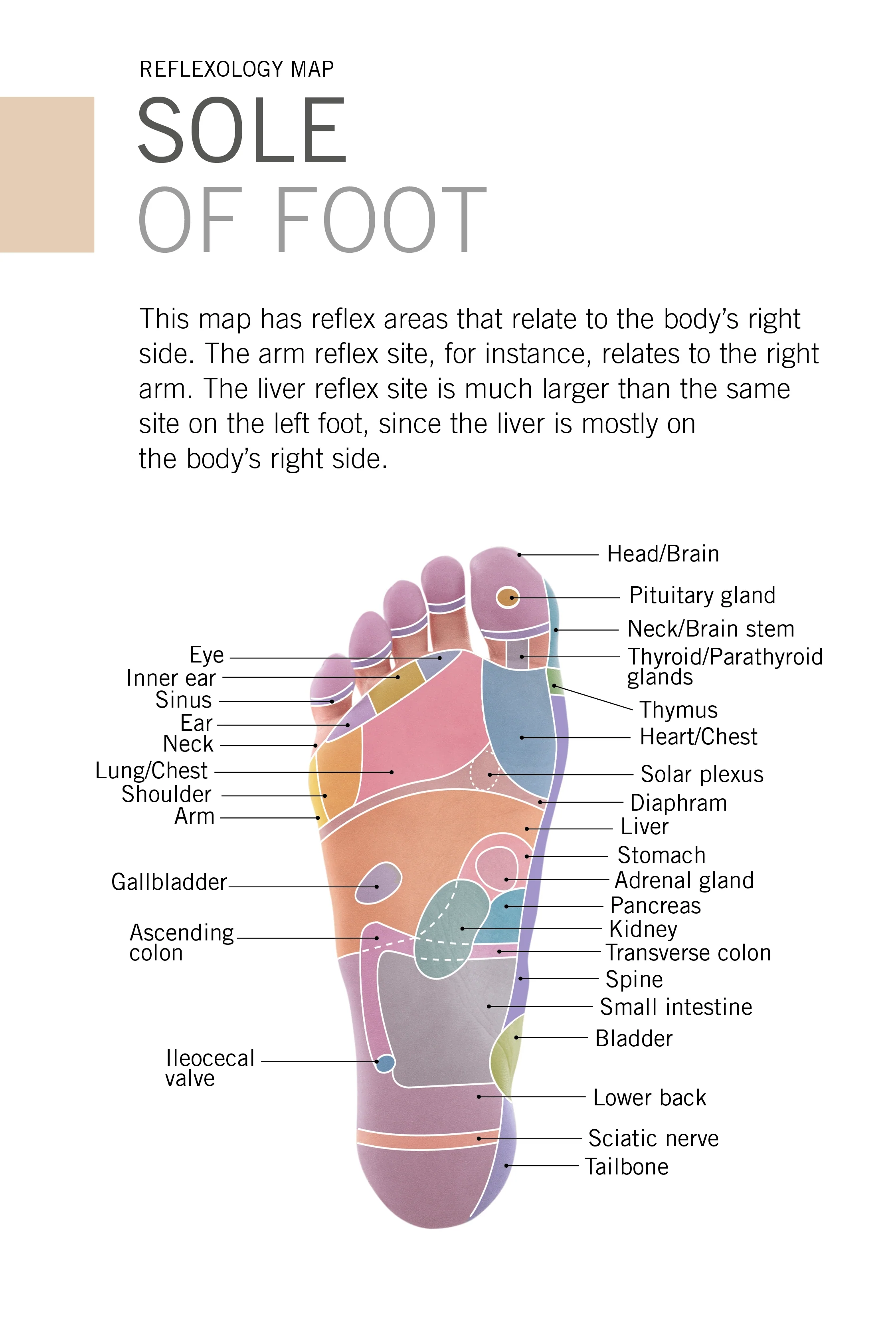 Reflexology Deck - Image 4