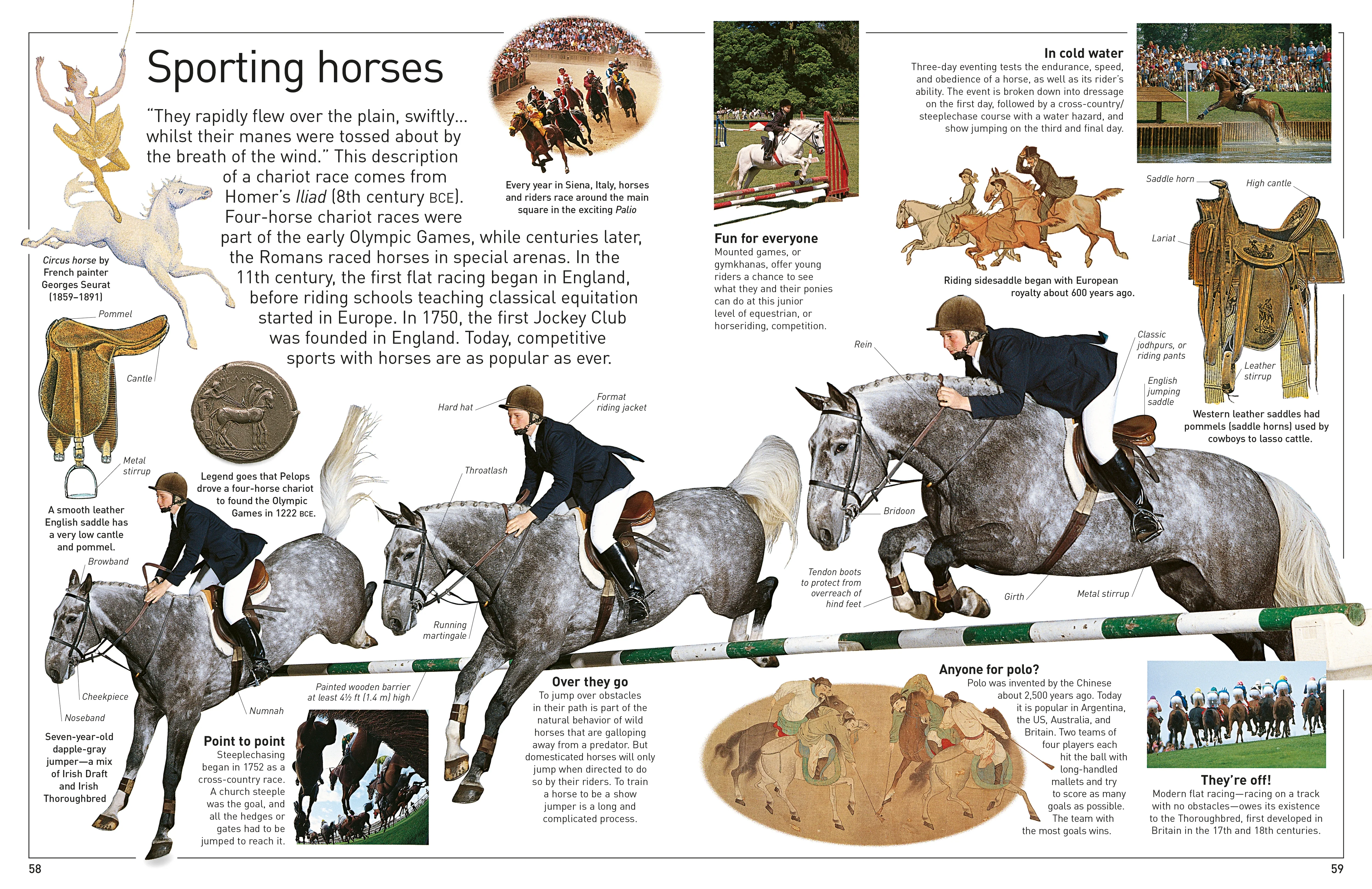 DK Eyewitness Books: Horse - Image 9