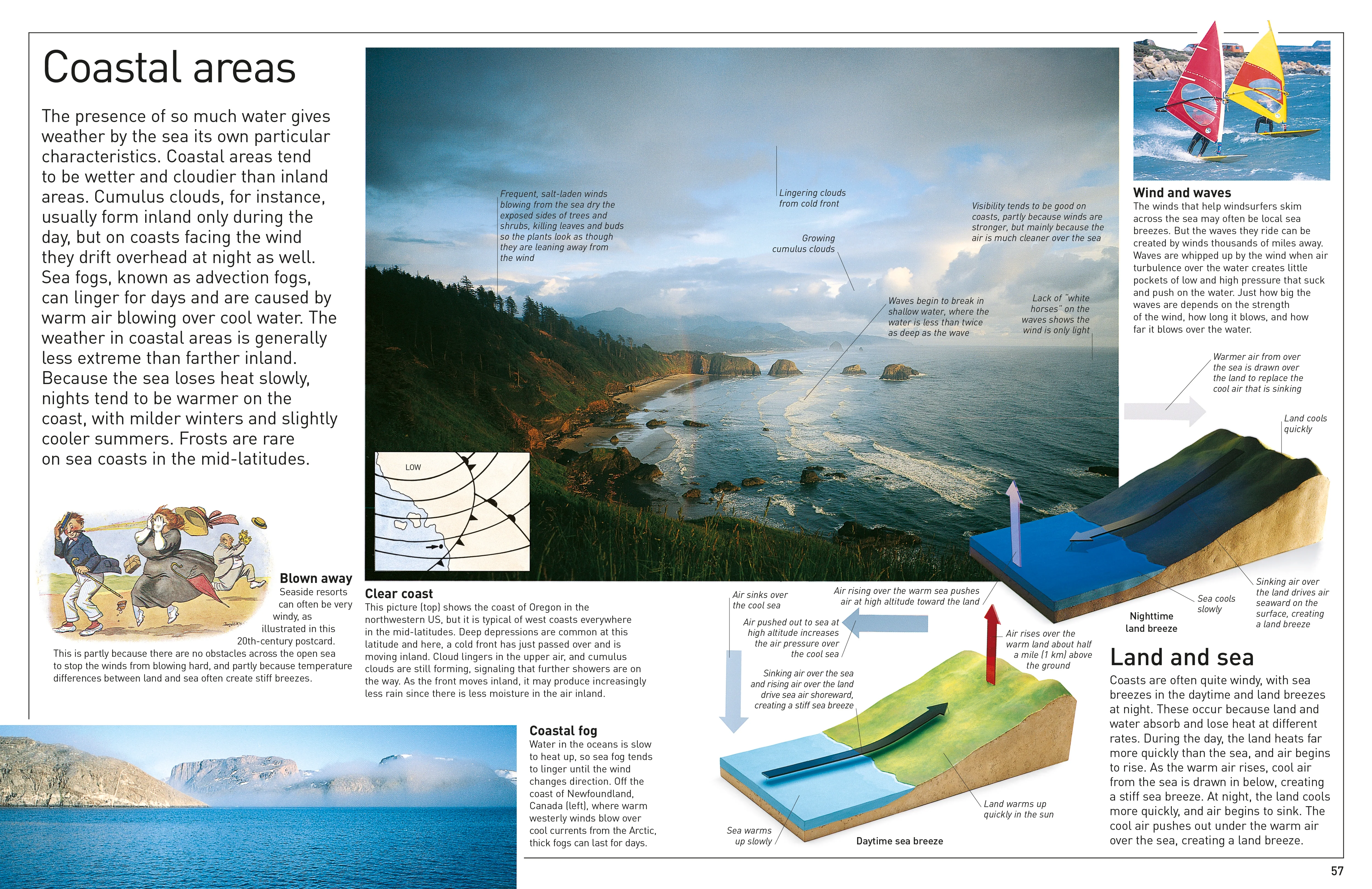 DK Eyewitness Books: Weather - Image 5