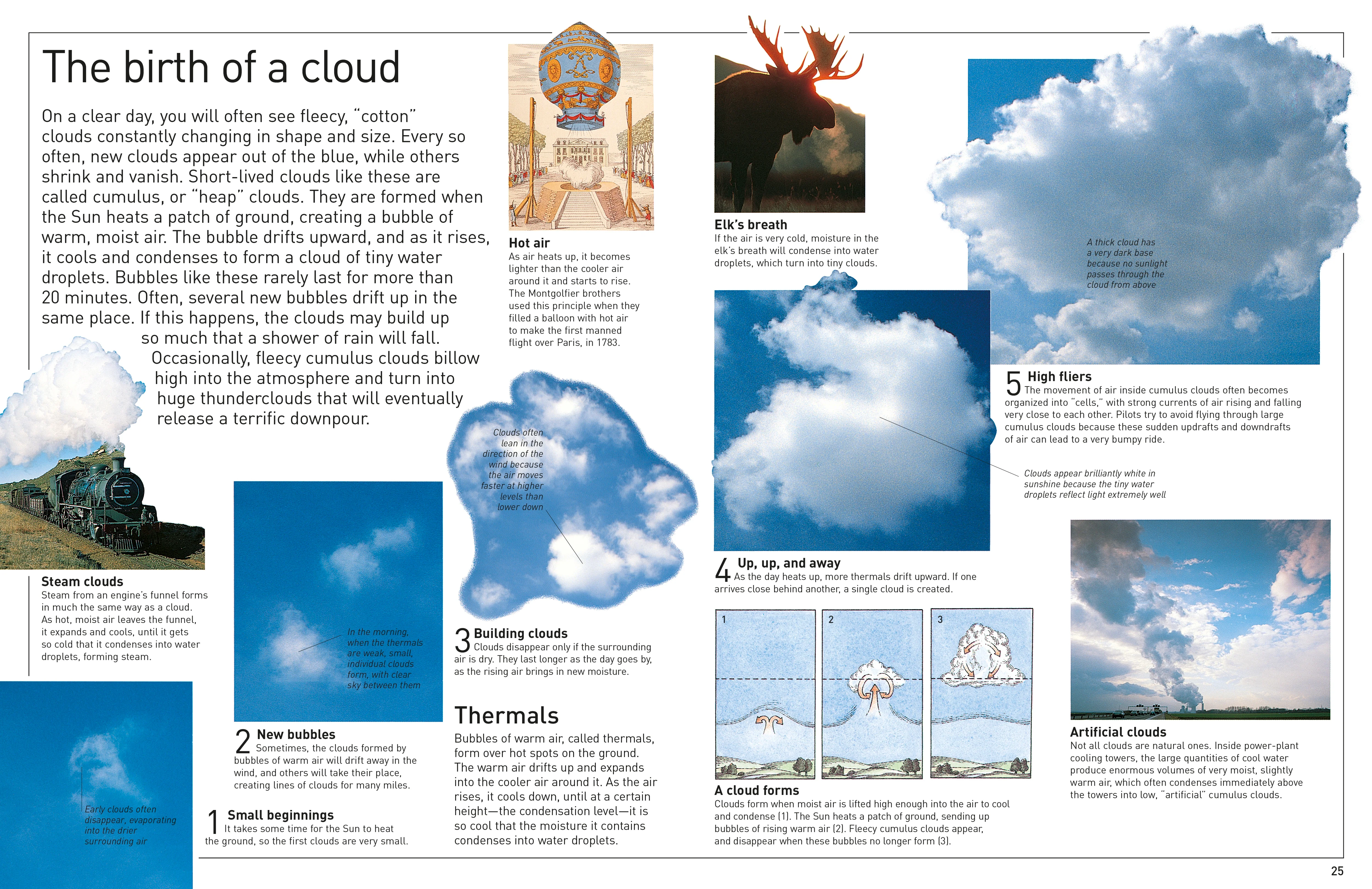DK Eyewitness Books: Weather - Image 7