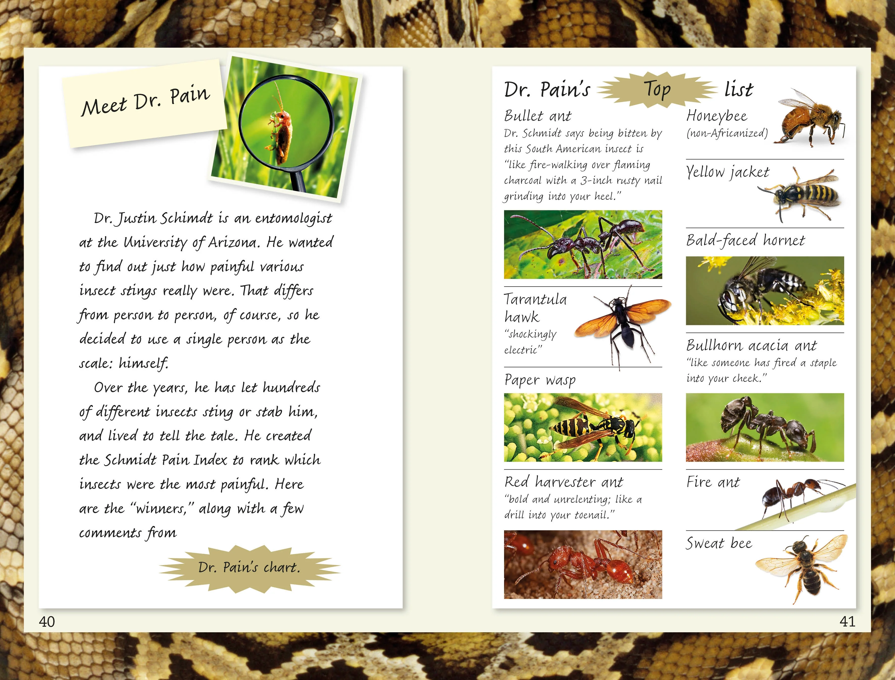 DK Readers L4: Spiders and Other Deadly Animals - Image 3