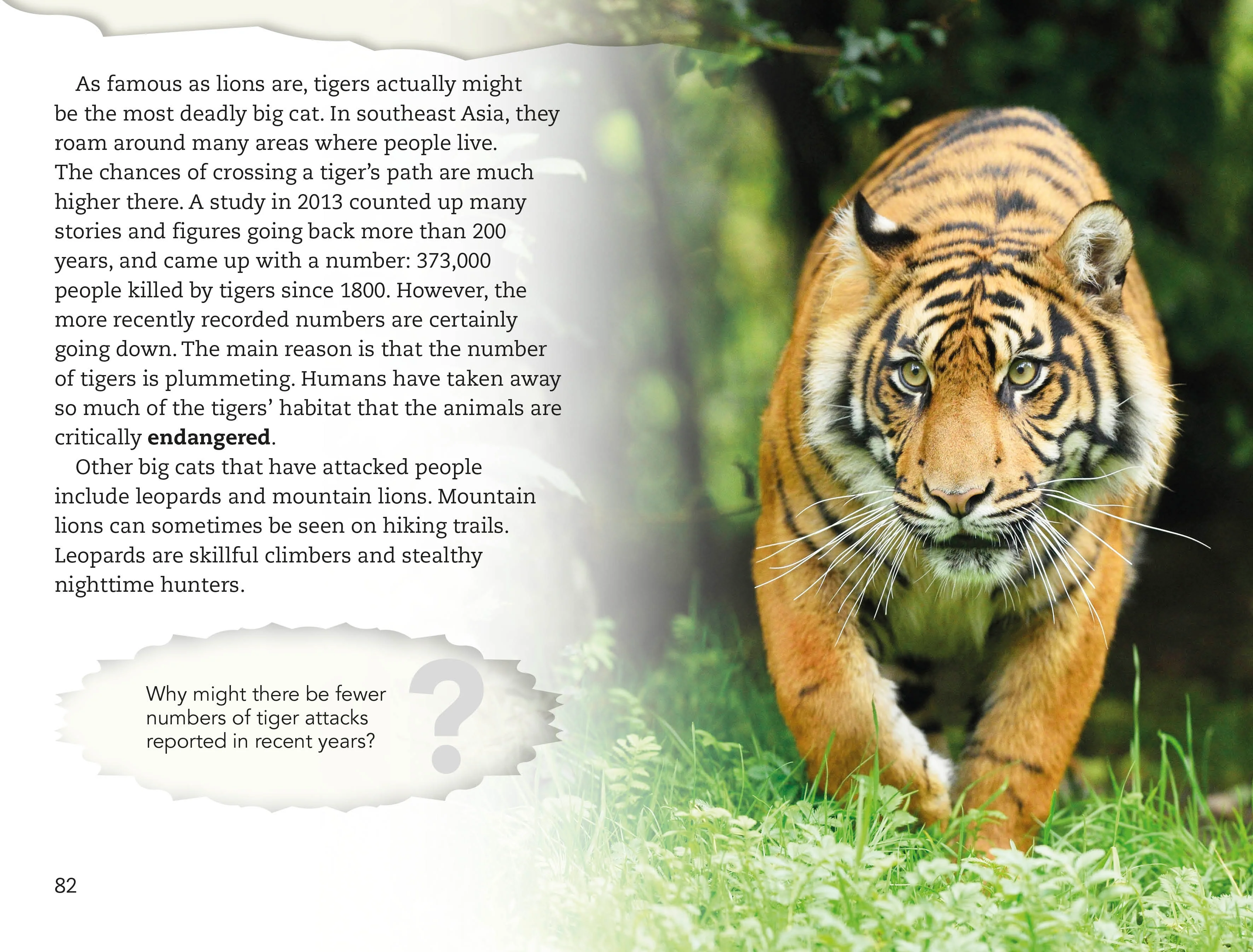 DK Readers L4: Spiders and Other Deadly Animals - Image 5