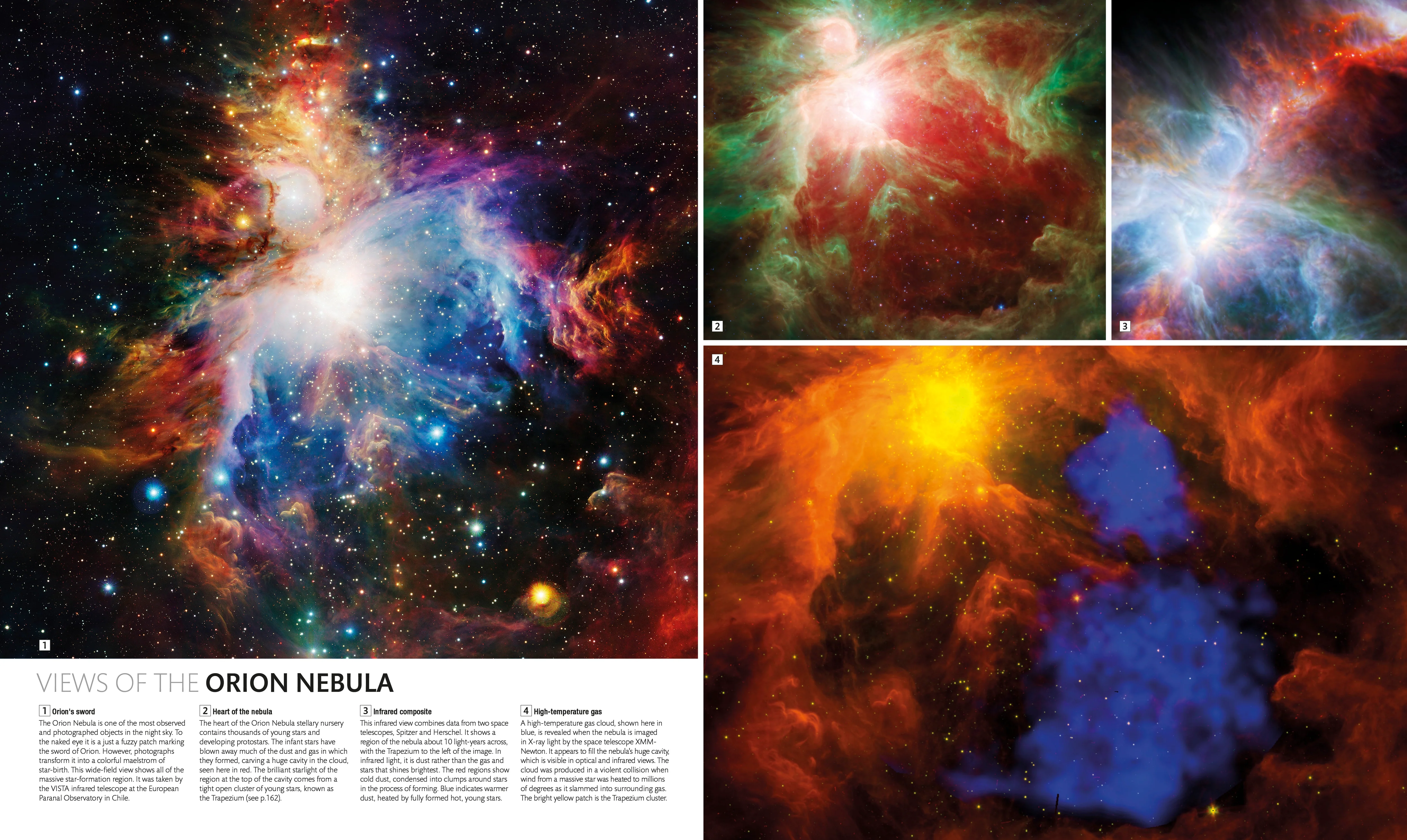 The Stars - Image 5