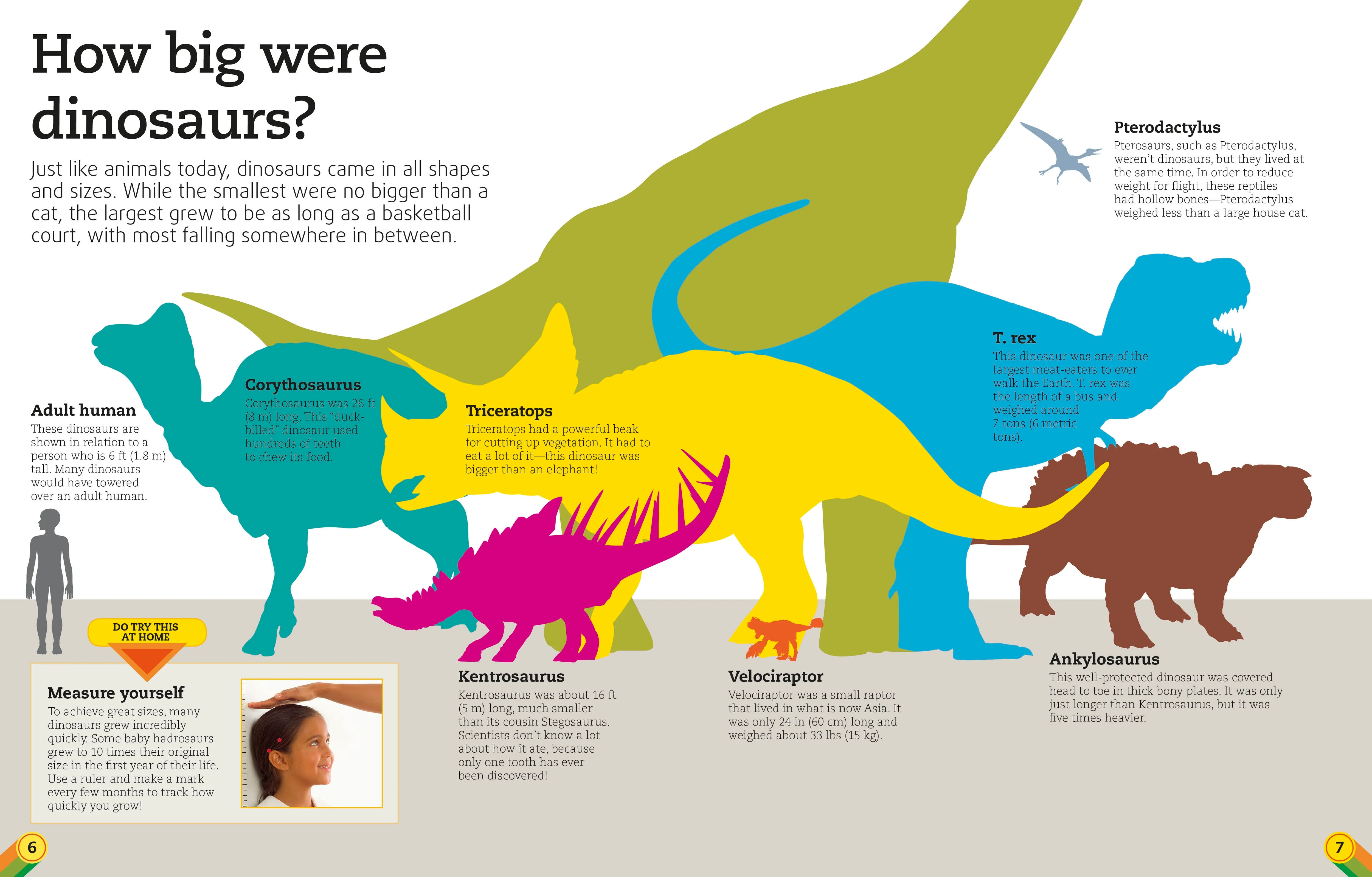 Utterly Amazing Dinosaur - Image 2