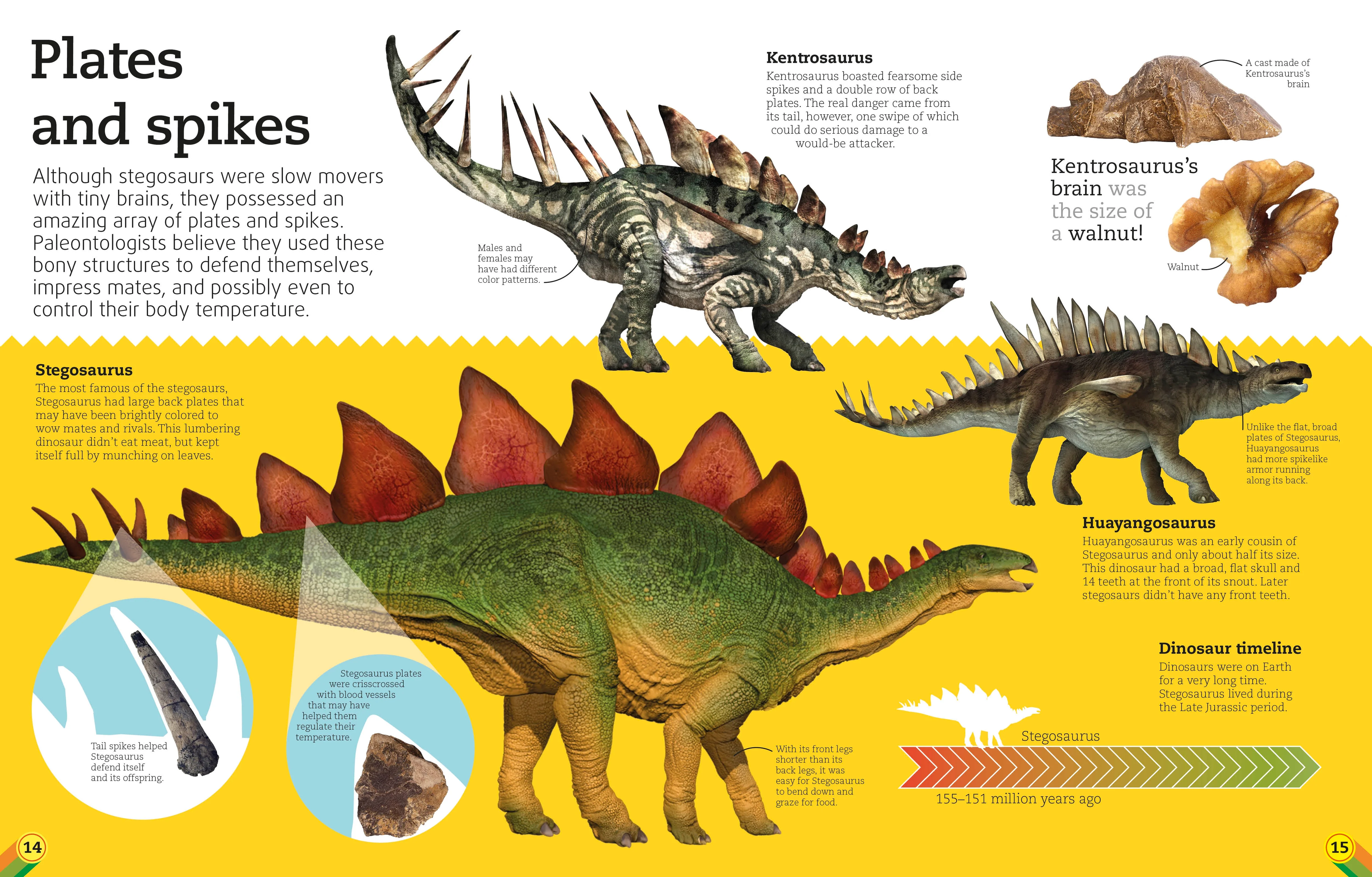 Utterly Amazing Dinosaur - Image 3