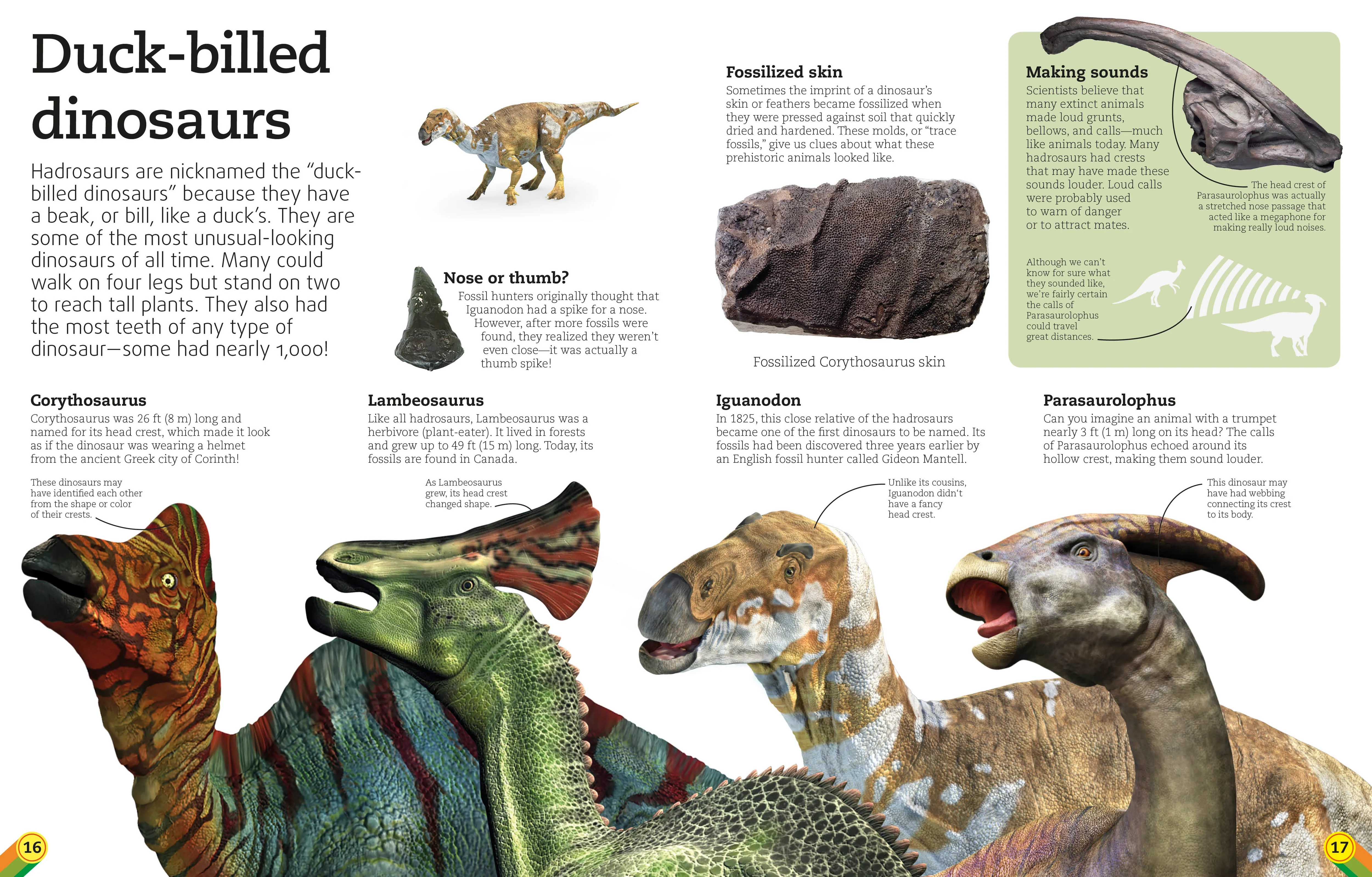 Utterly Amazing Dinosaur - Image 4