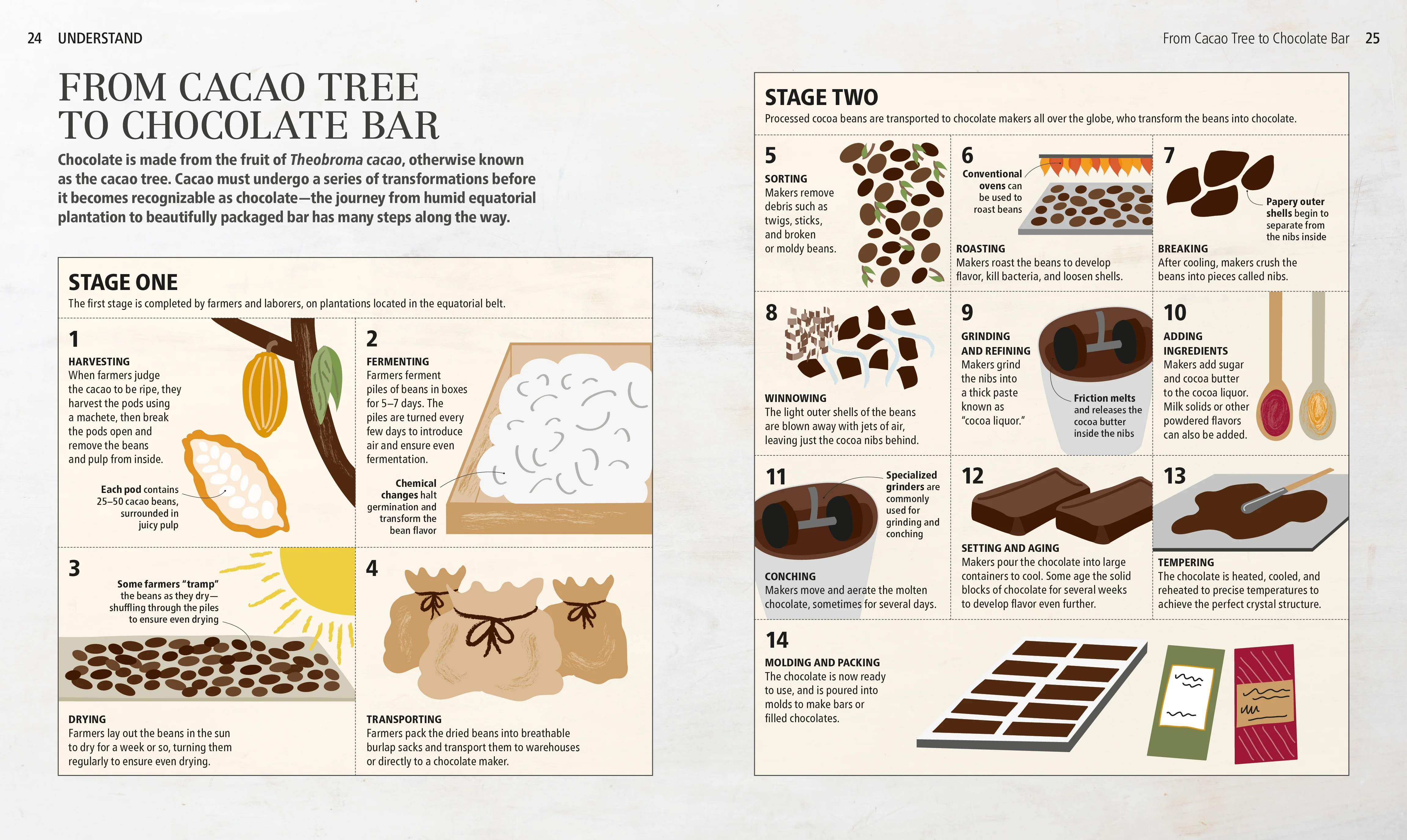 Chocolate - Image 2
