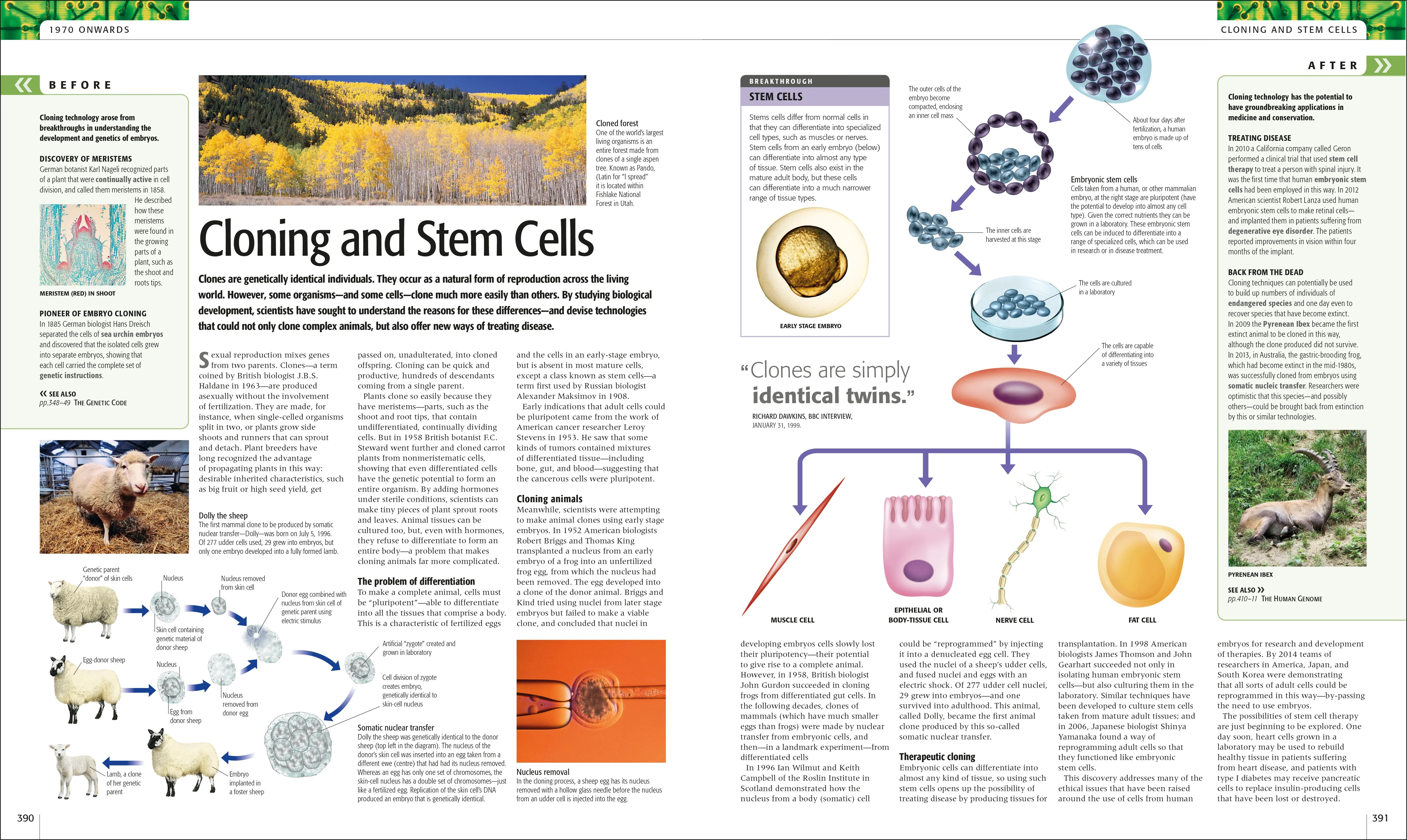 Science - Image 10