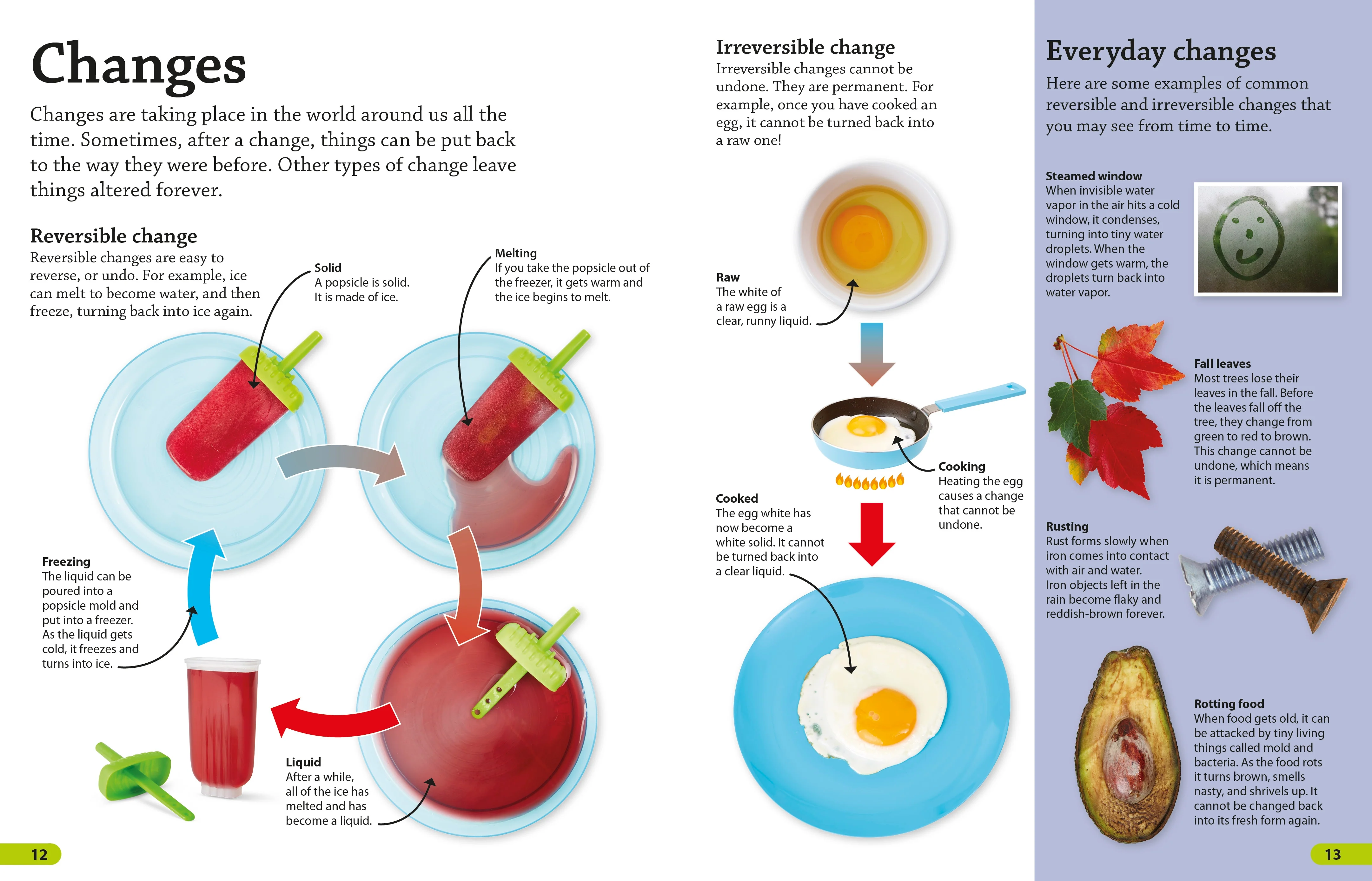 DKfindout! Science - Image 2
