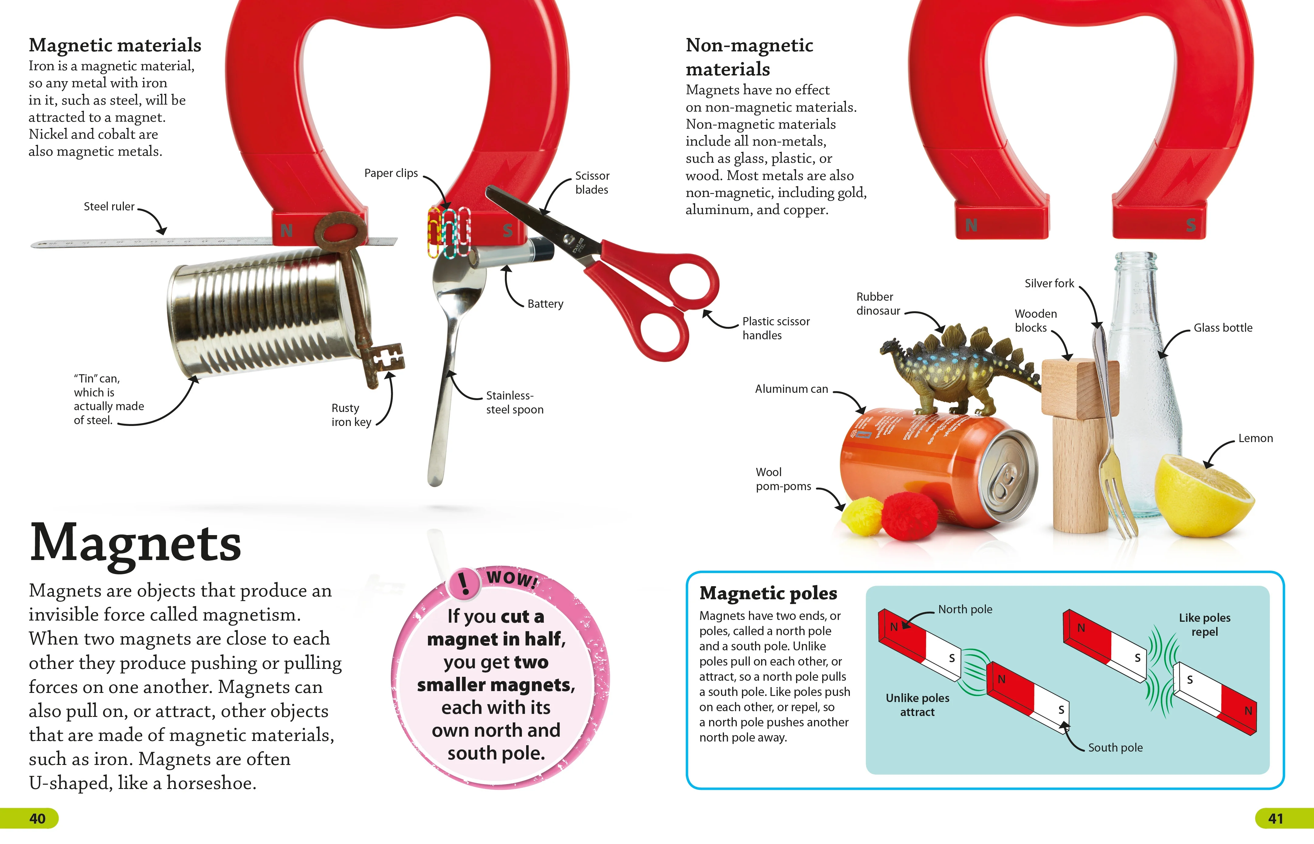 DKfindout! Science - Image 4