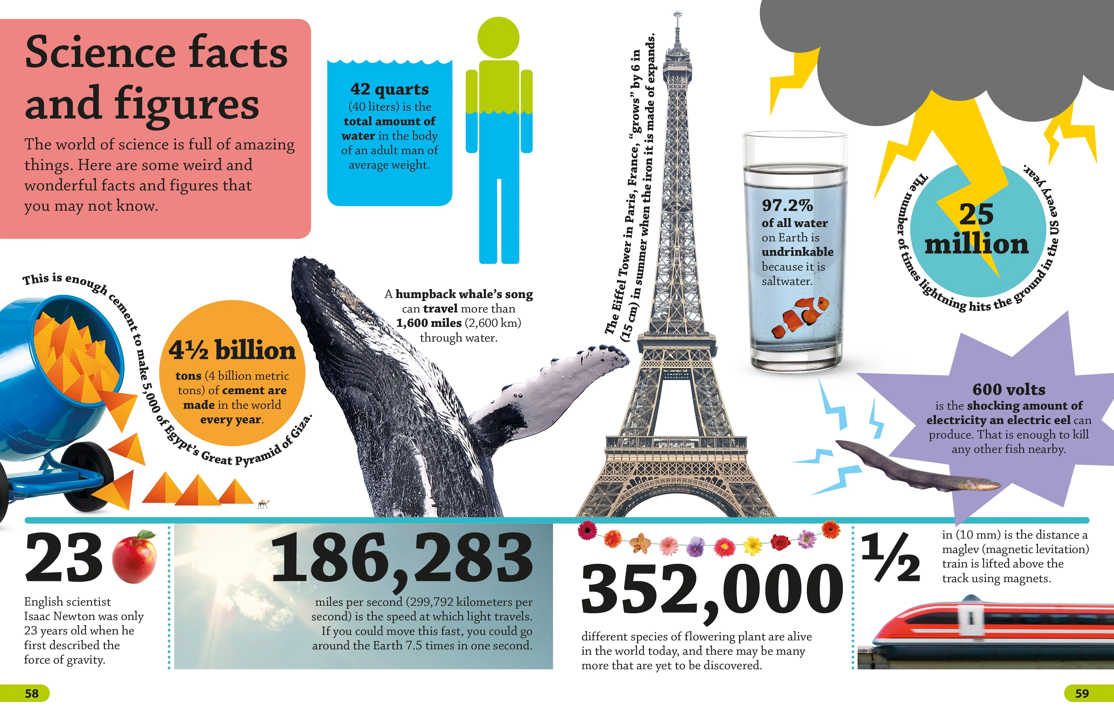 DKfindout! Science - Image 5