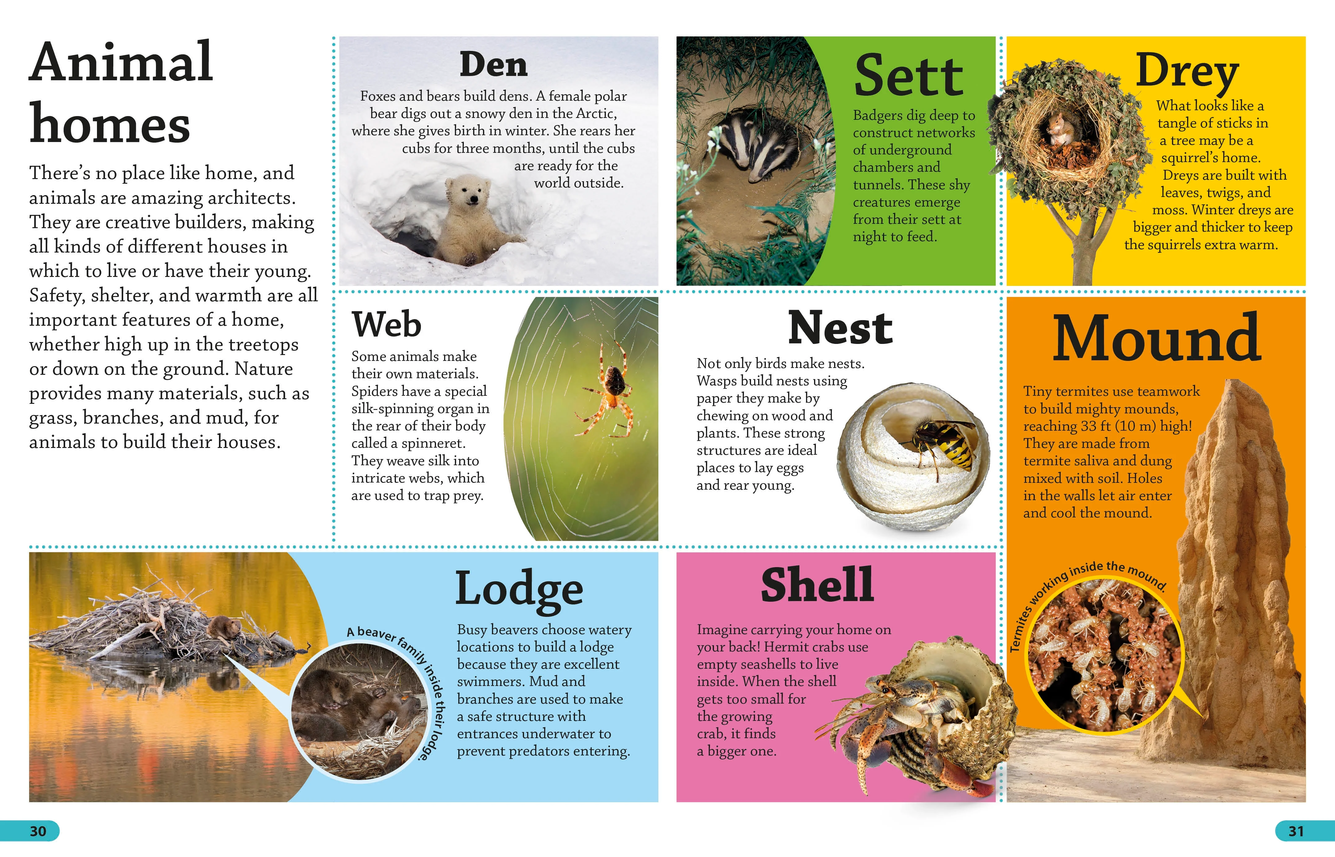 DKfindout! Animals - Image 2