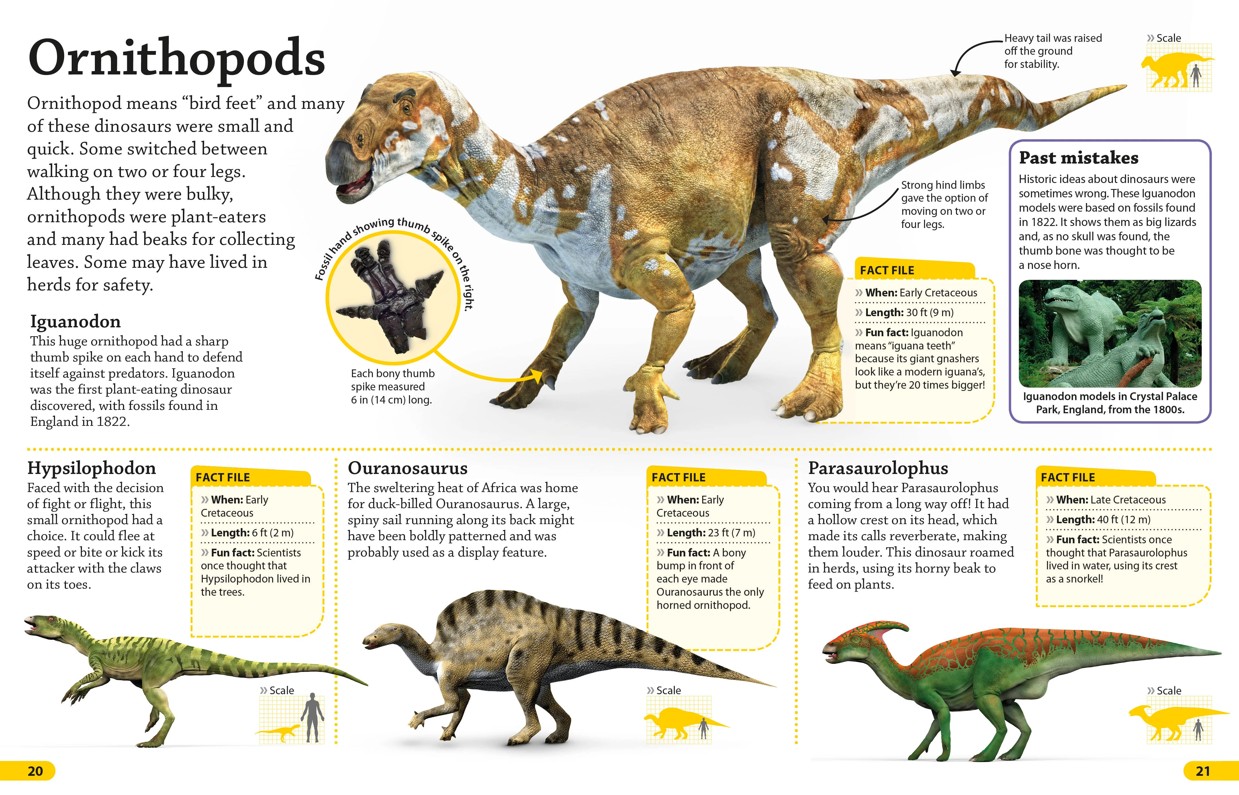 DKfindout! Dinosaurs - Image 3