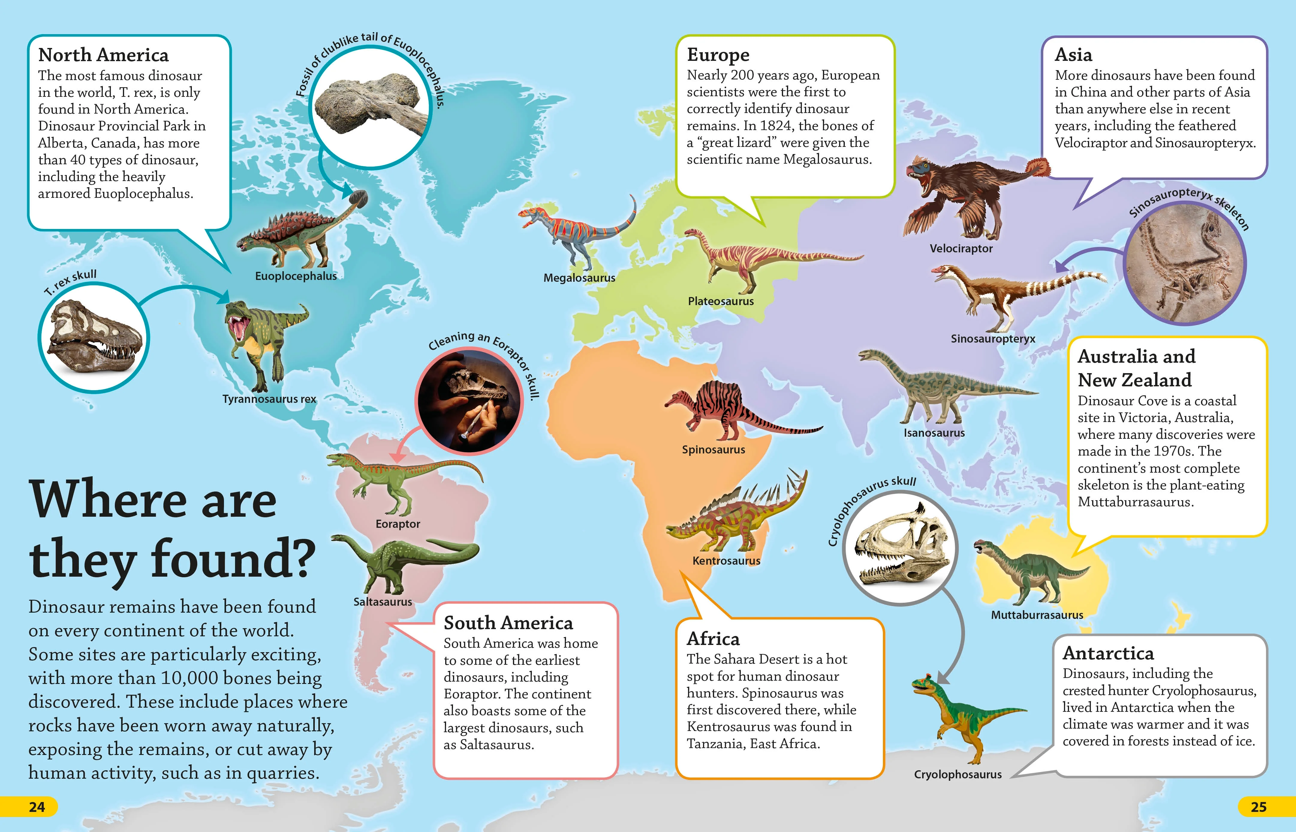 DKfindout! Dinosaurs - Image 4