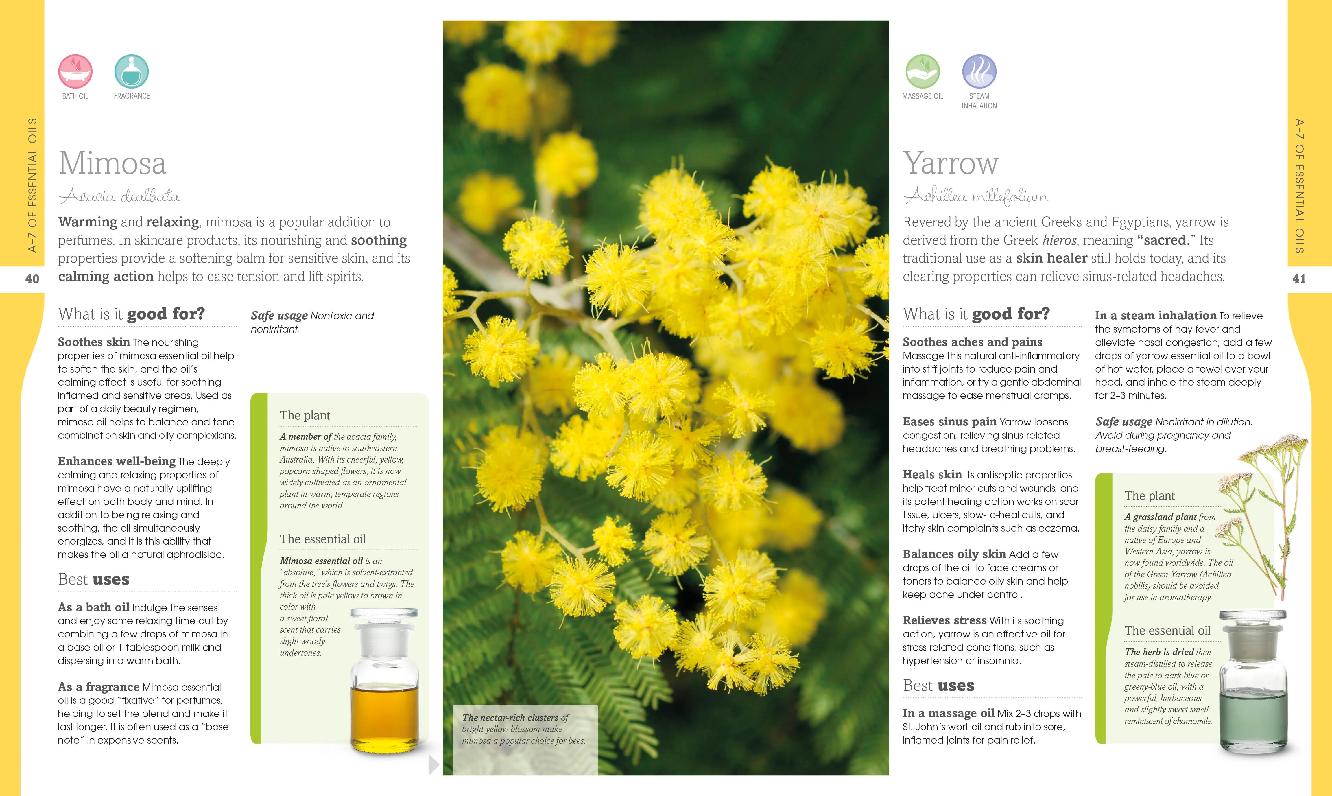 Essential Oils - Image 2