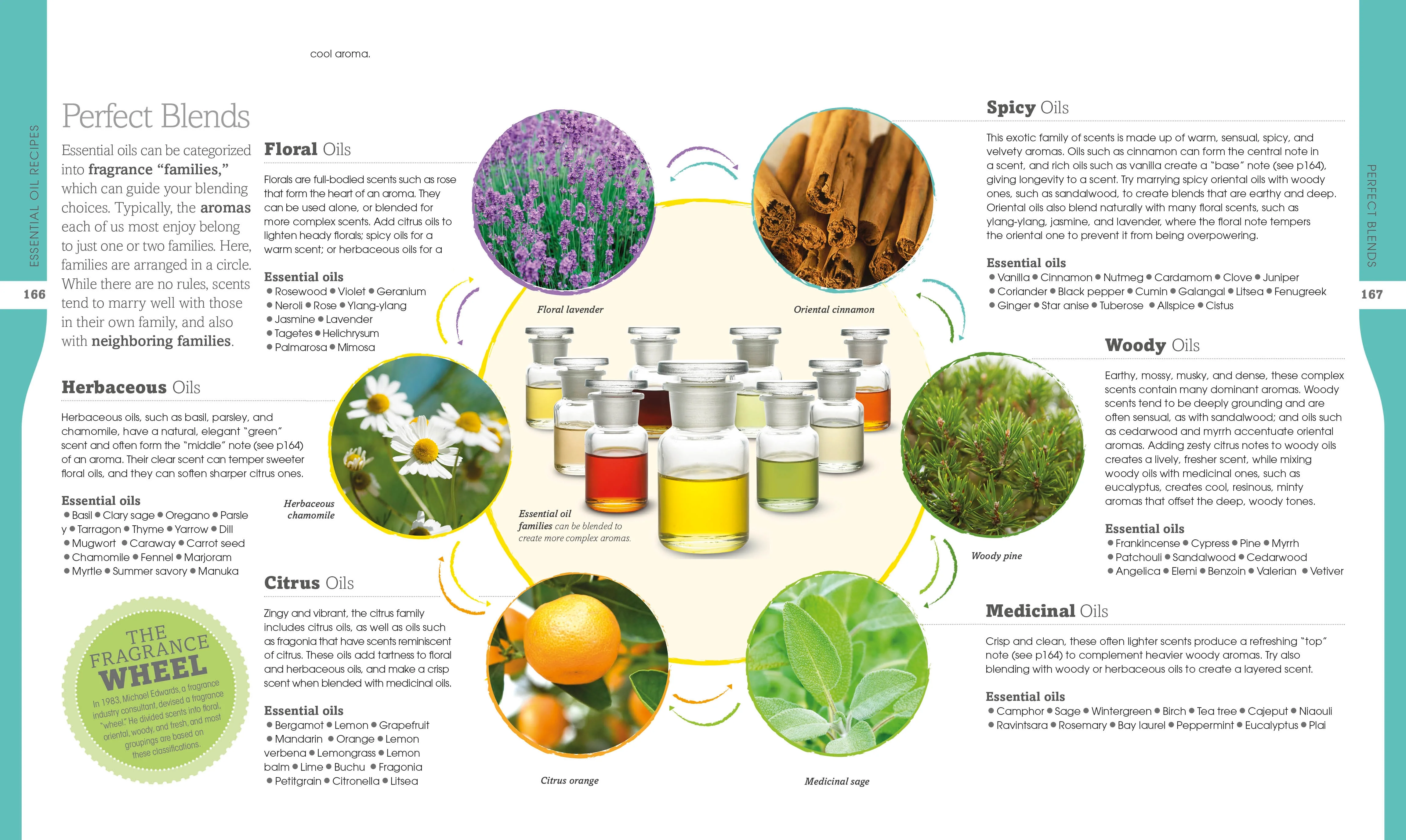 Essential Oils - Image 4
