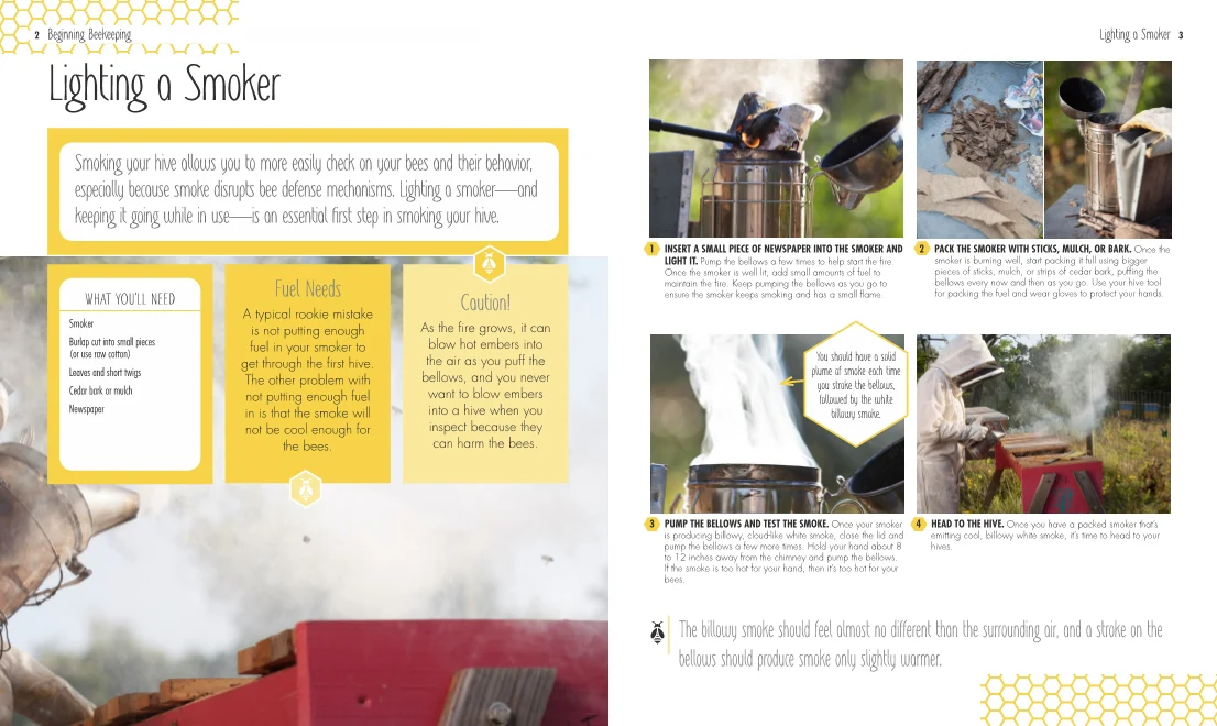 Beginning Beekeeping - Image 4