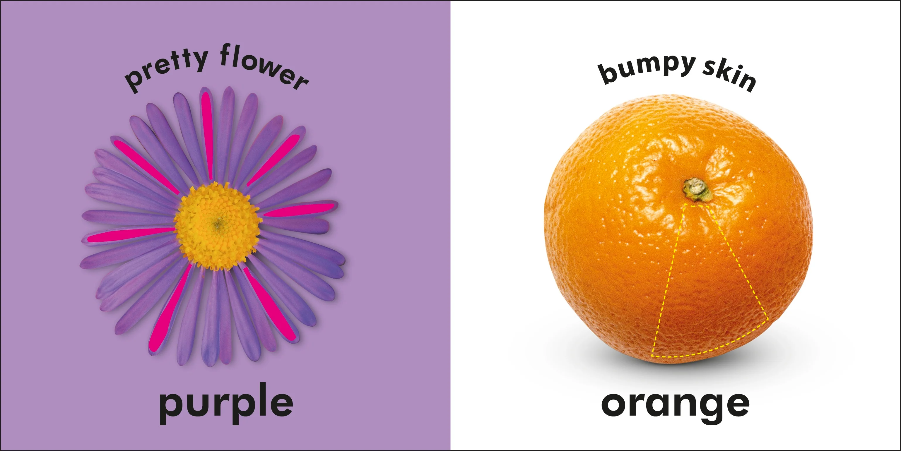 Baby Touch and Feel: Colors - Image 2