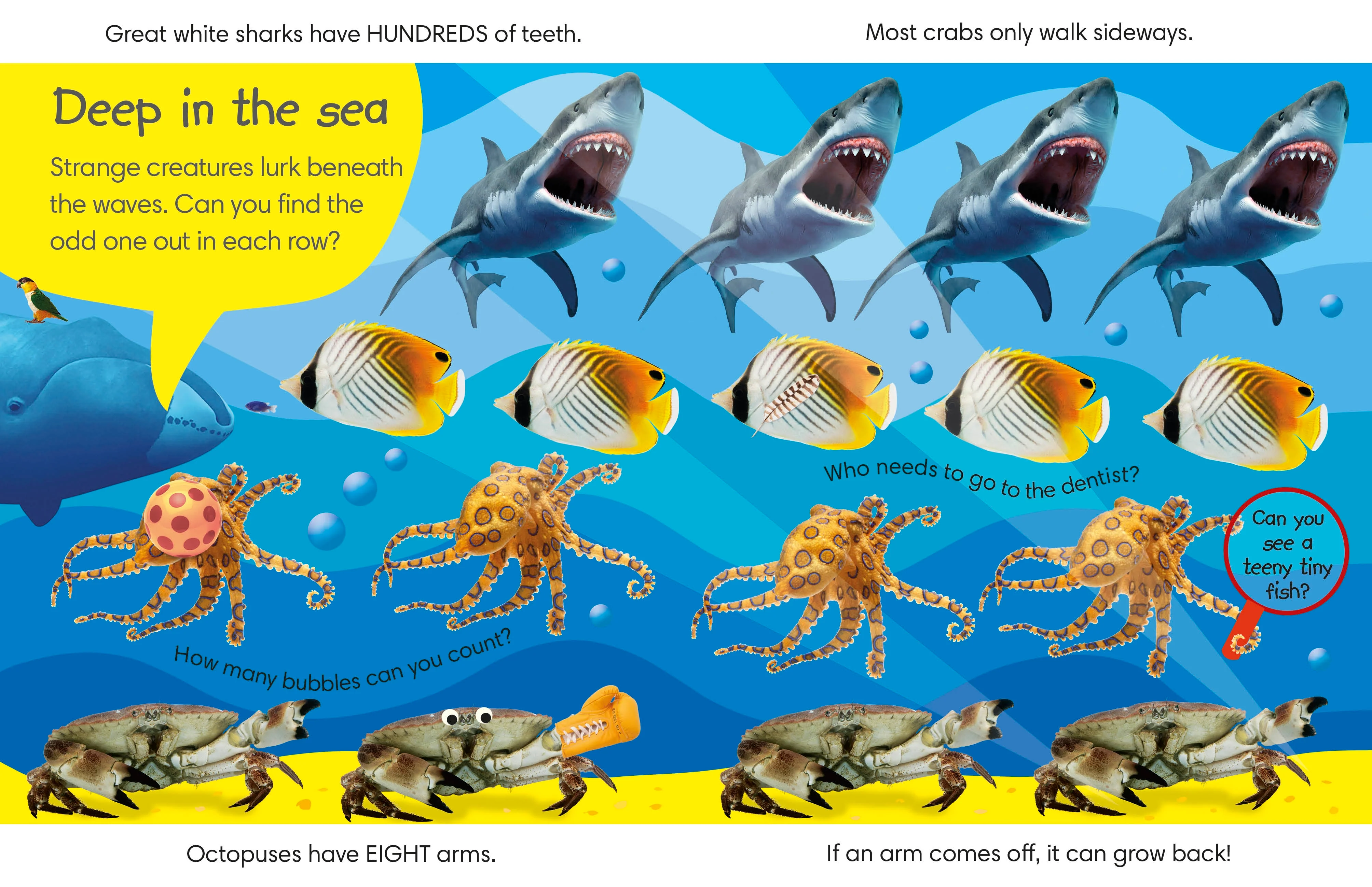 Spot the Difference Animals - Image 3